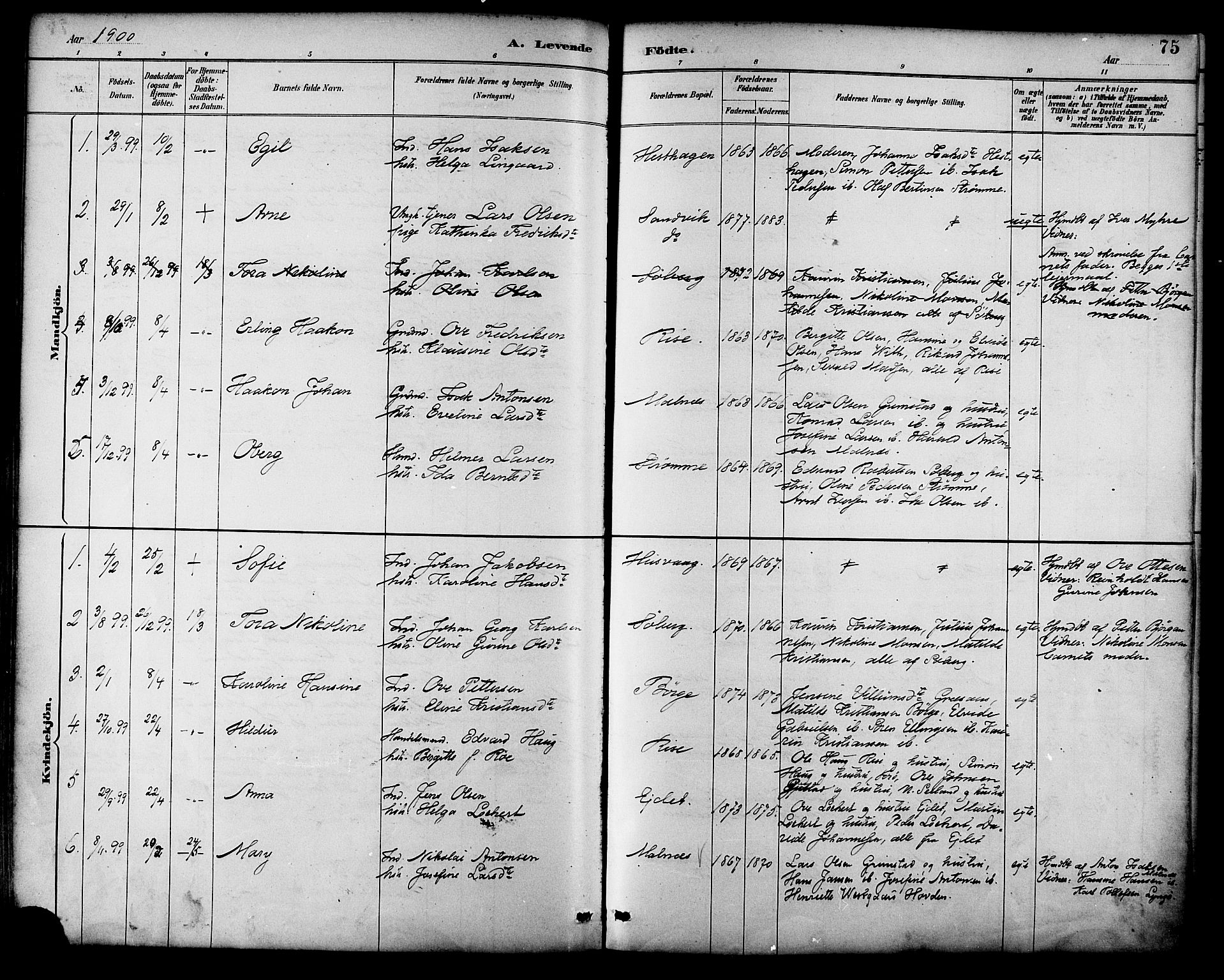 Ministerialprotokoller, klokkerbøker og fødselsregistre - Nordland, SAT/A-1459/892/L1320: Parish register (official) no. 892A01, 1886-1901, p. 75