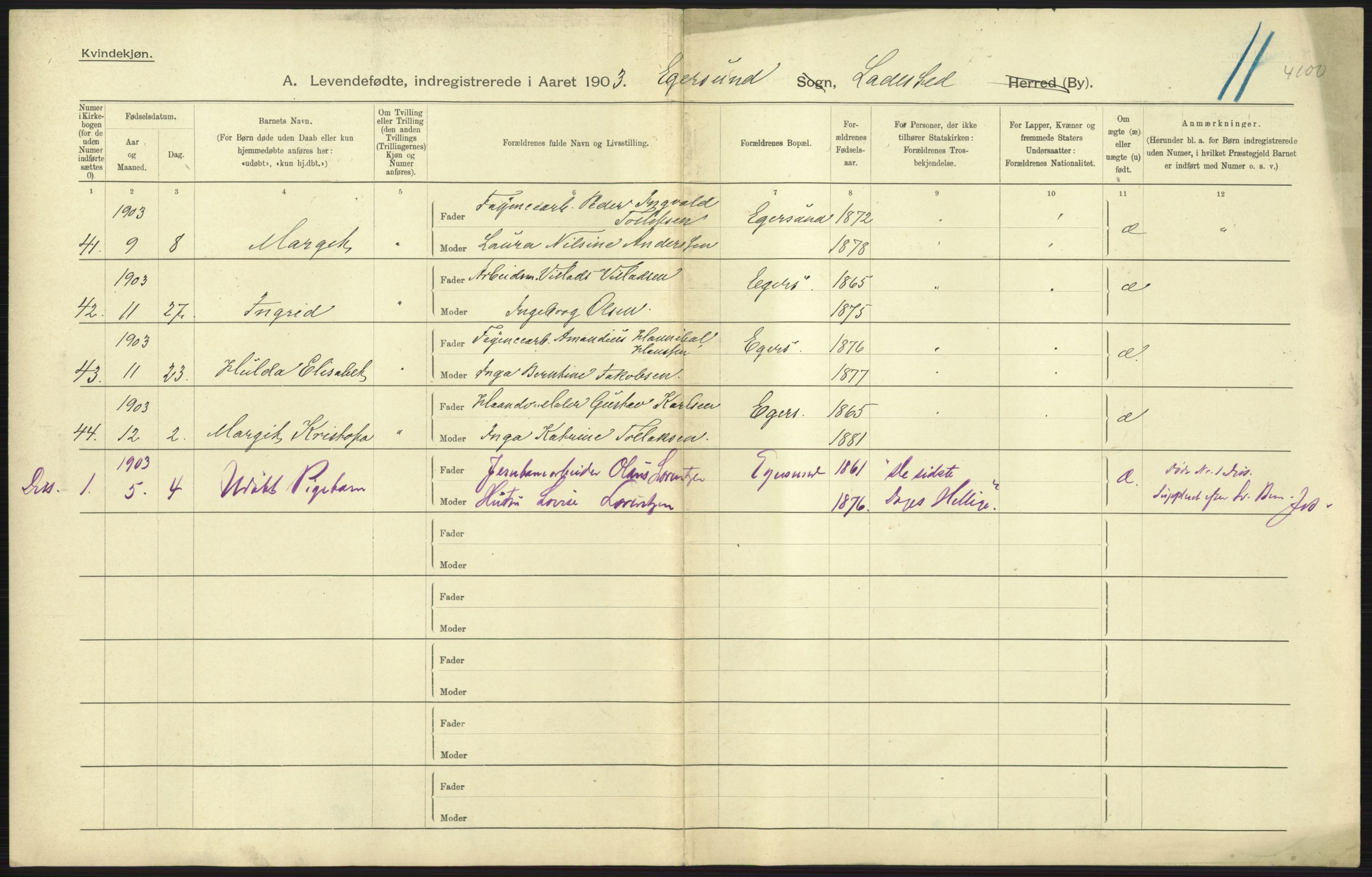 Statistisk sentralbyrå, Sosiodemografiske emner, Befolkning, AV/RA-S-2228/D/Df/Dfa/Dfaa/L0012: Stavanger amt: Fødte, gifte, døde, 1903, p. 299