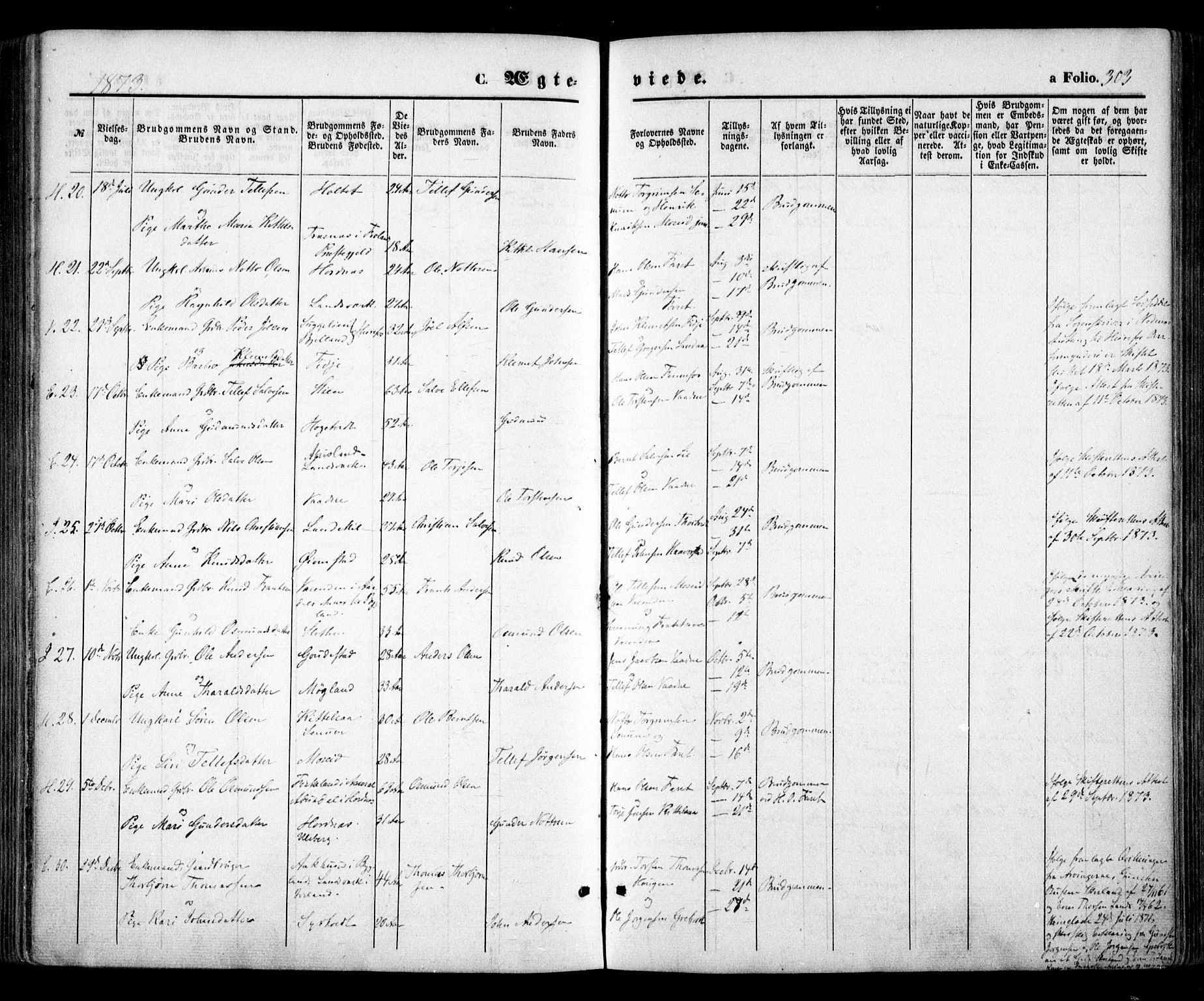 Evje sokneprestkontor, AV/SAK-1111-0008/F/Fa/Faa/L0006: Parish register (official) no. A 6, 1866-1884, p. 303