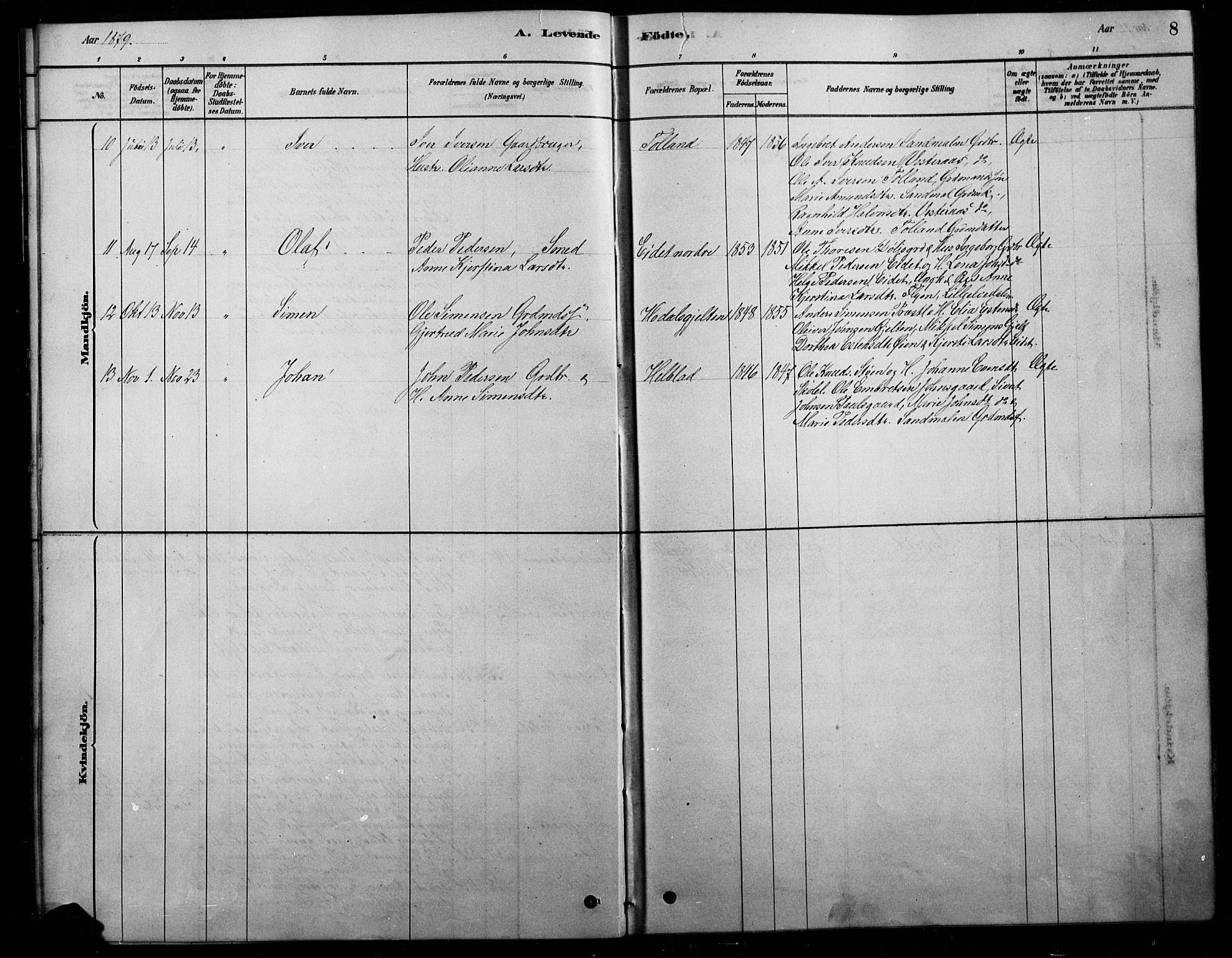 Tolga prestekontor, SAH/PREST-062/L/L0007: Parish register (copy) no. 7, 1878-1919, p. 8