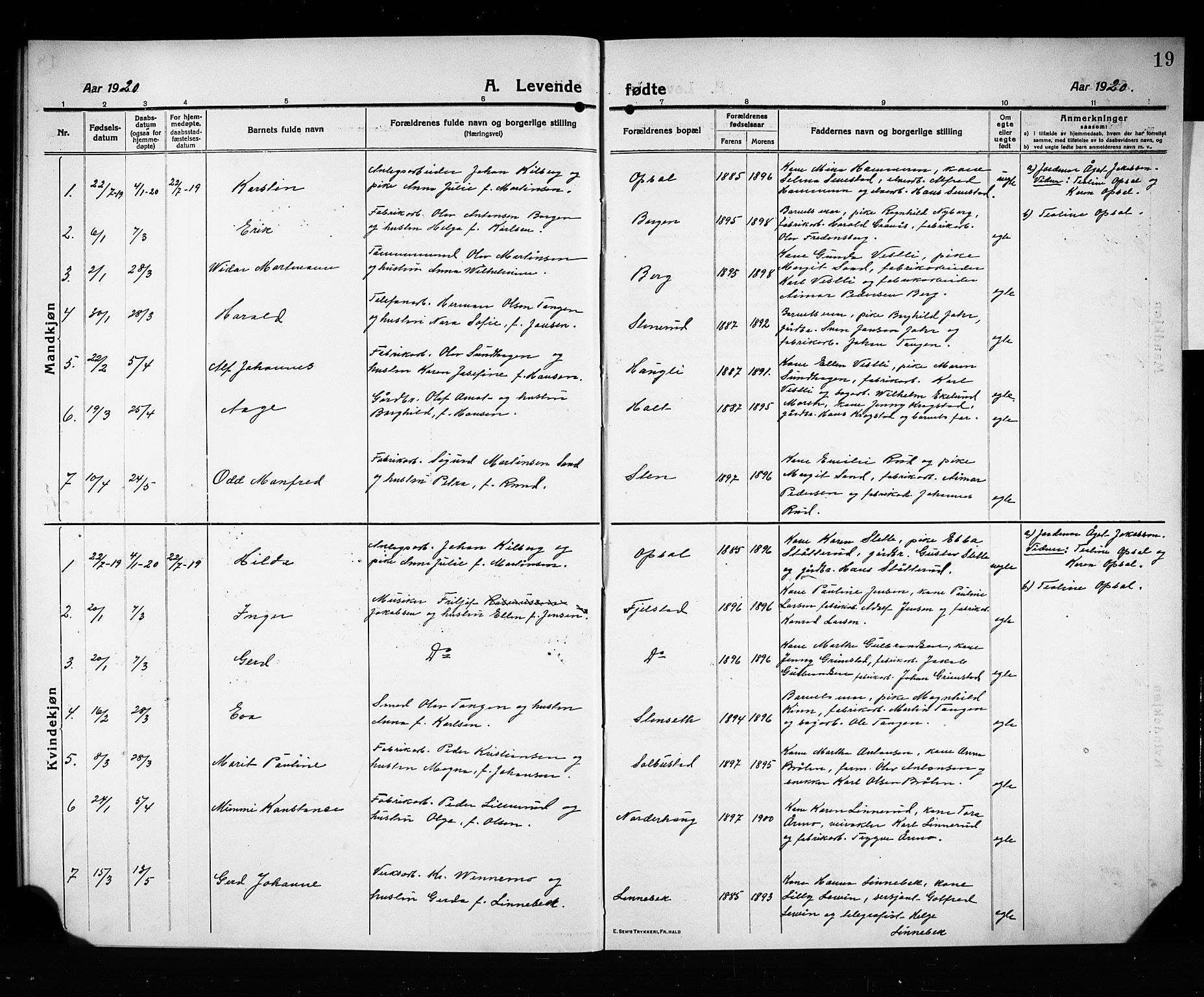 Fet prestekontor Kirkebøker, SAO/A-10370a/G/Gb/L0006: Parish register (copy) no. II 6, 1914-1925, p. 19