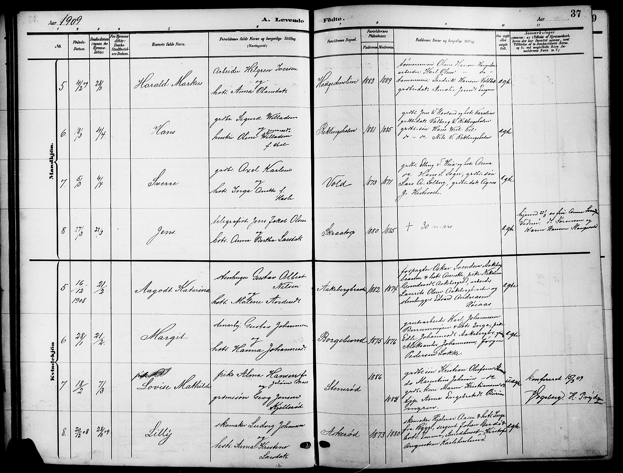 Råde prestekontor kirkebøker, AV/SAO-A-2009/G/Ga/L0001: Parish register (copy) no. 1, 1903-1925, p. 37