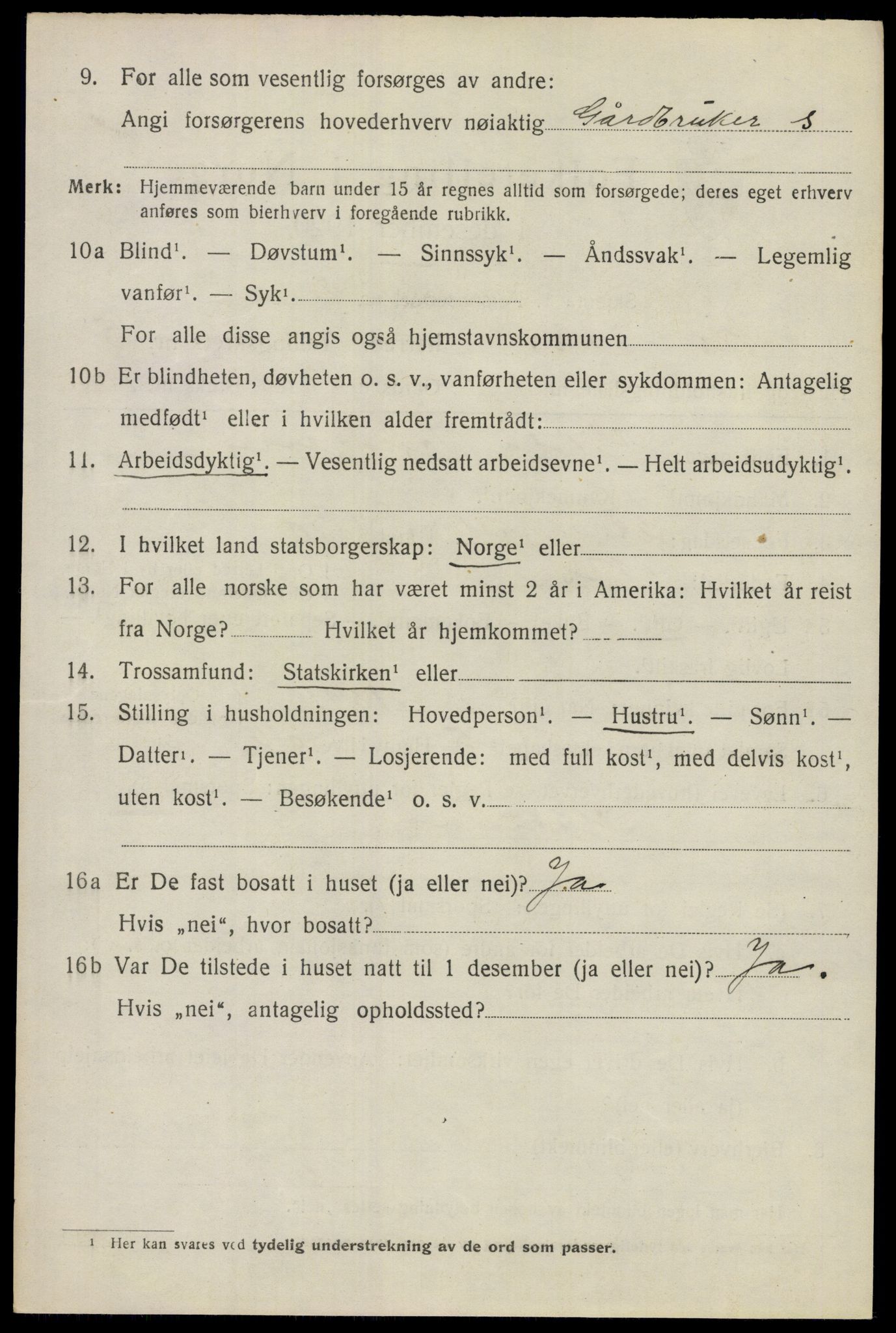 SAO, 1920 census for Nes, 1920, p. 6461