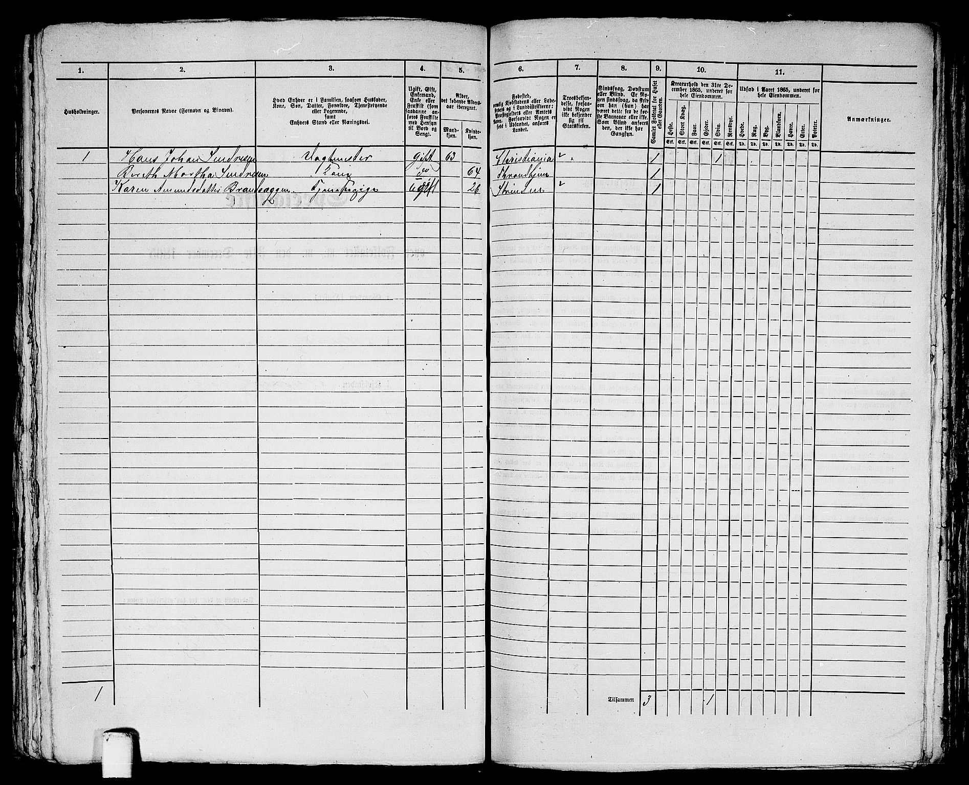 RA, 1865 census for Trondheim, 1865, p. 1850