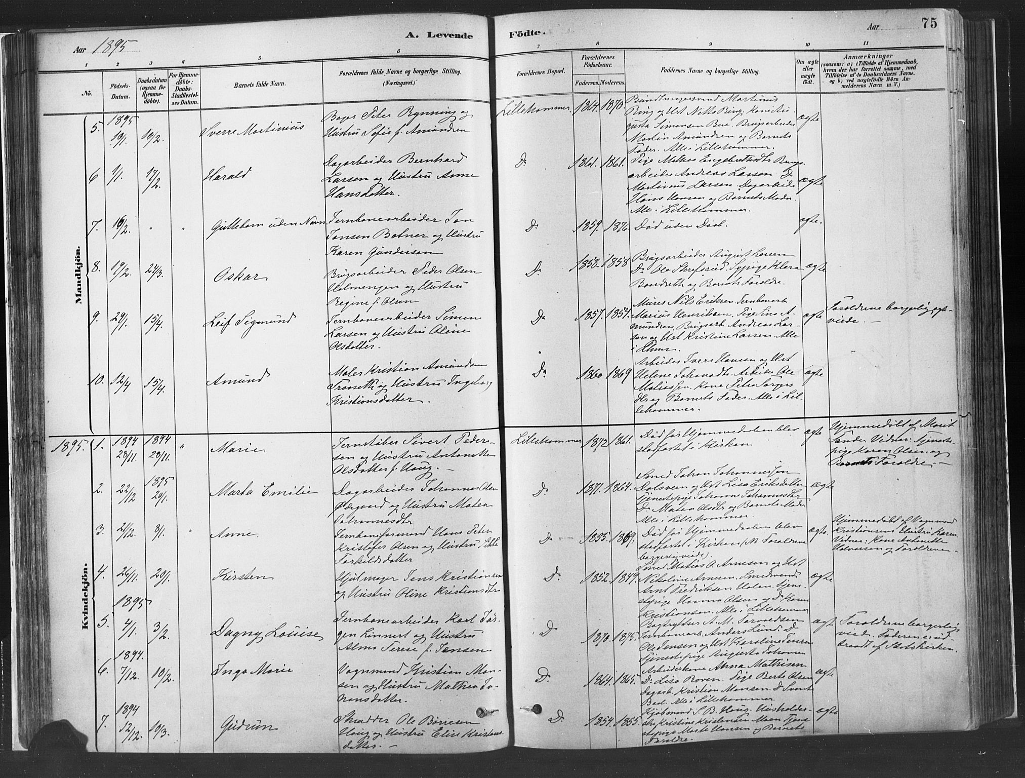 Fåberg prestekontor, SAH/PREST-086/H/Ha/Haa/L0010: Parish register (official) no. 10, 1879-1900, p. 75