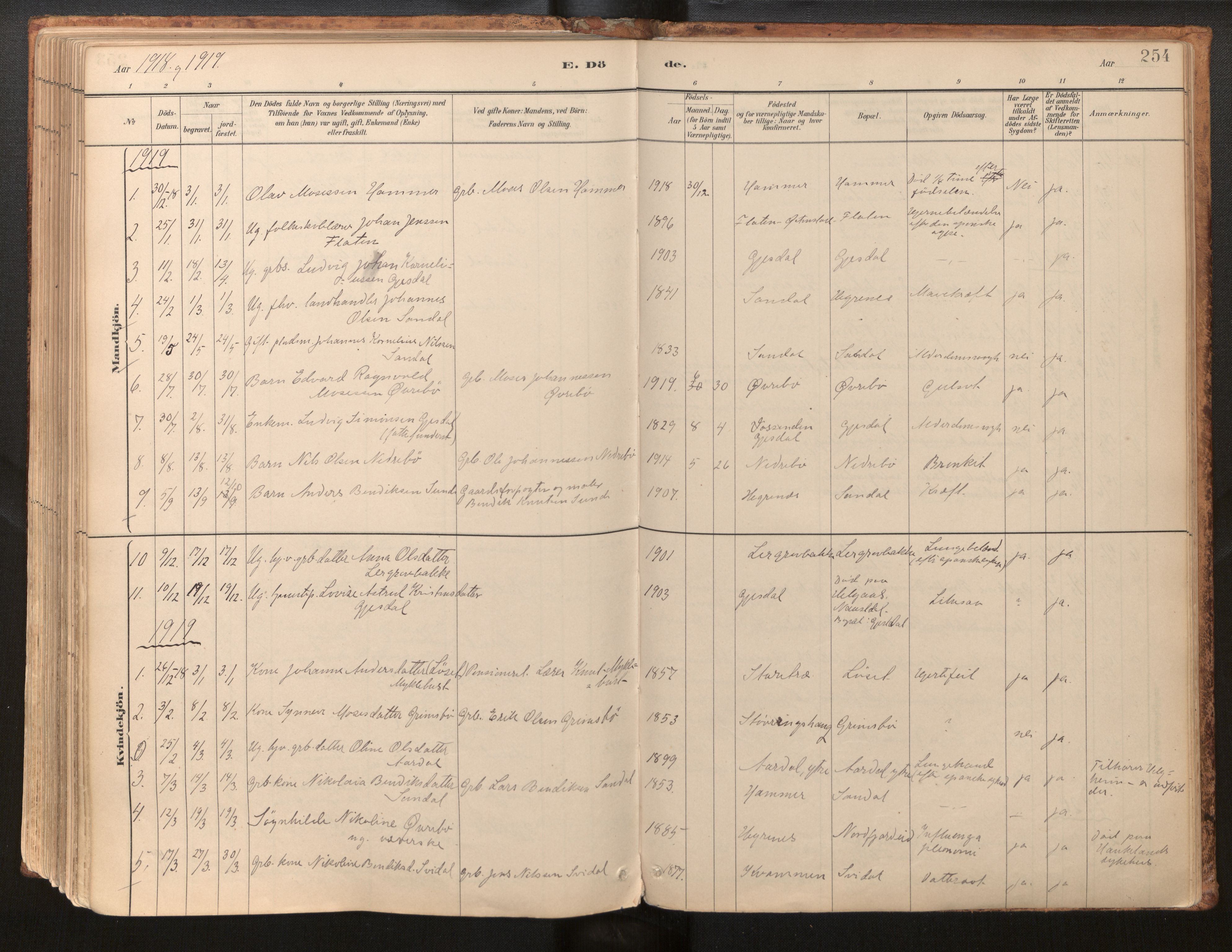 Jølster sokneprestembete, AV/SAB-A-80701/H/Haa/Haab/L0001: Parish register (official) no. B 1, 1882-1930, p. 254