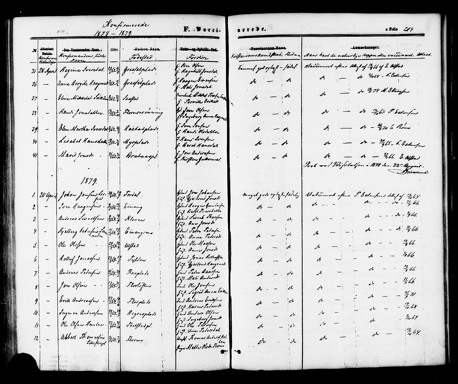 Ministerialprotokoller, klokkerbøker og fødselsregistre - Nord-Trøndelag, AV/SAT-A-1458/703/L0029: Parish register (official) no. 703A02, 1863-1879, p. 204