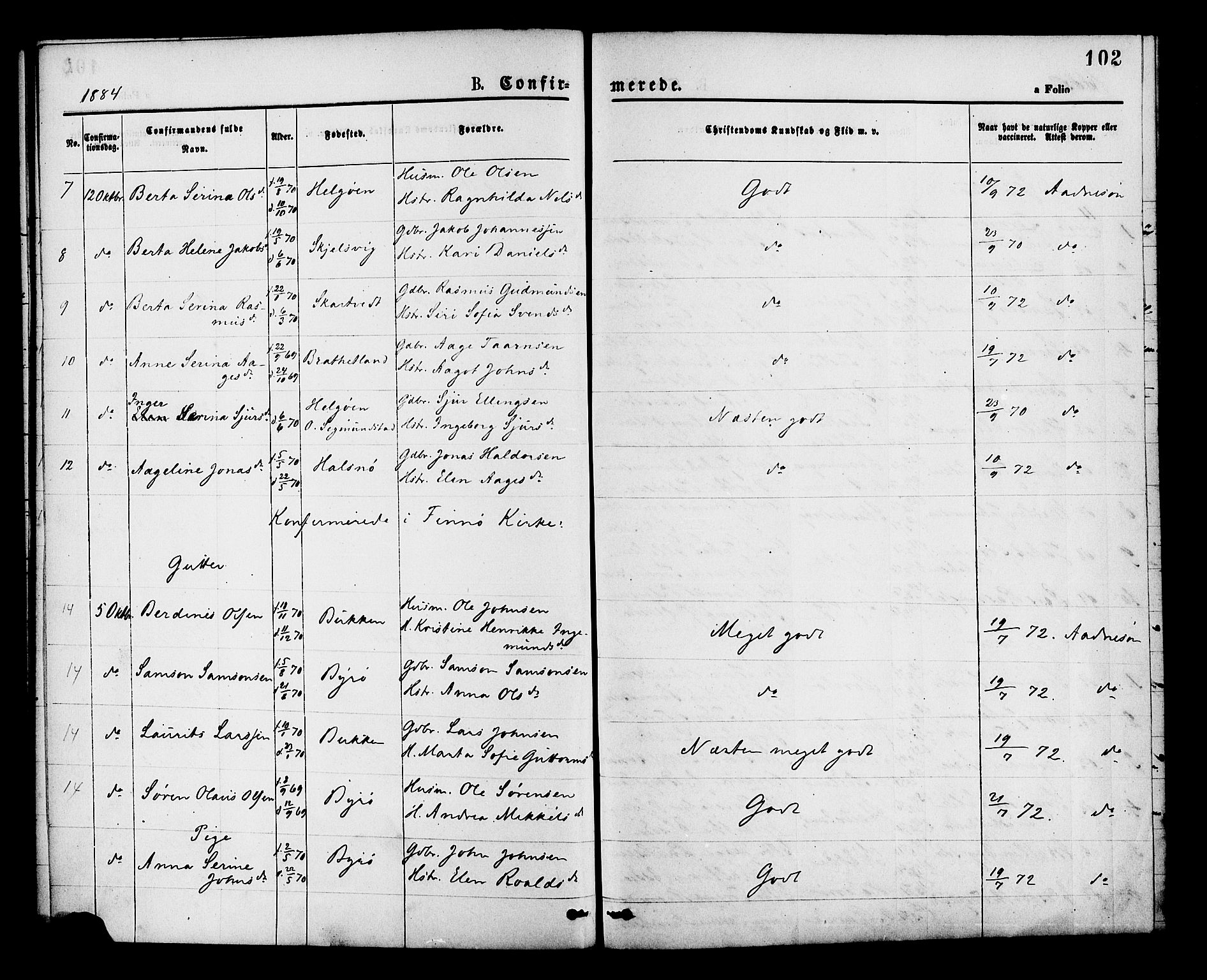 Hjelmeland sokneprestkontor, SAST/A-101843/01/IV/L0013: Parish register (official) no. A 13, 1872-1886, p. 102