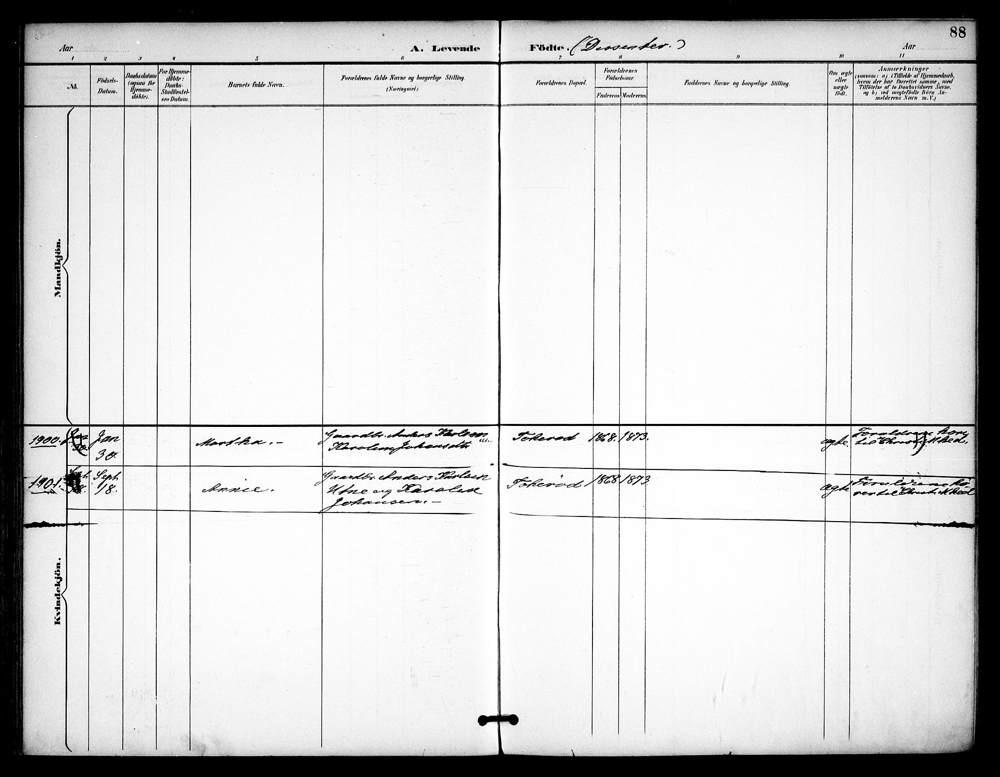 Våler prestekontor Kirkebøker, SAO/A-11083/F/Fa/L0011: Parish register (official) no. I 11, 1893-1909, p. 88