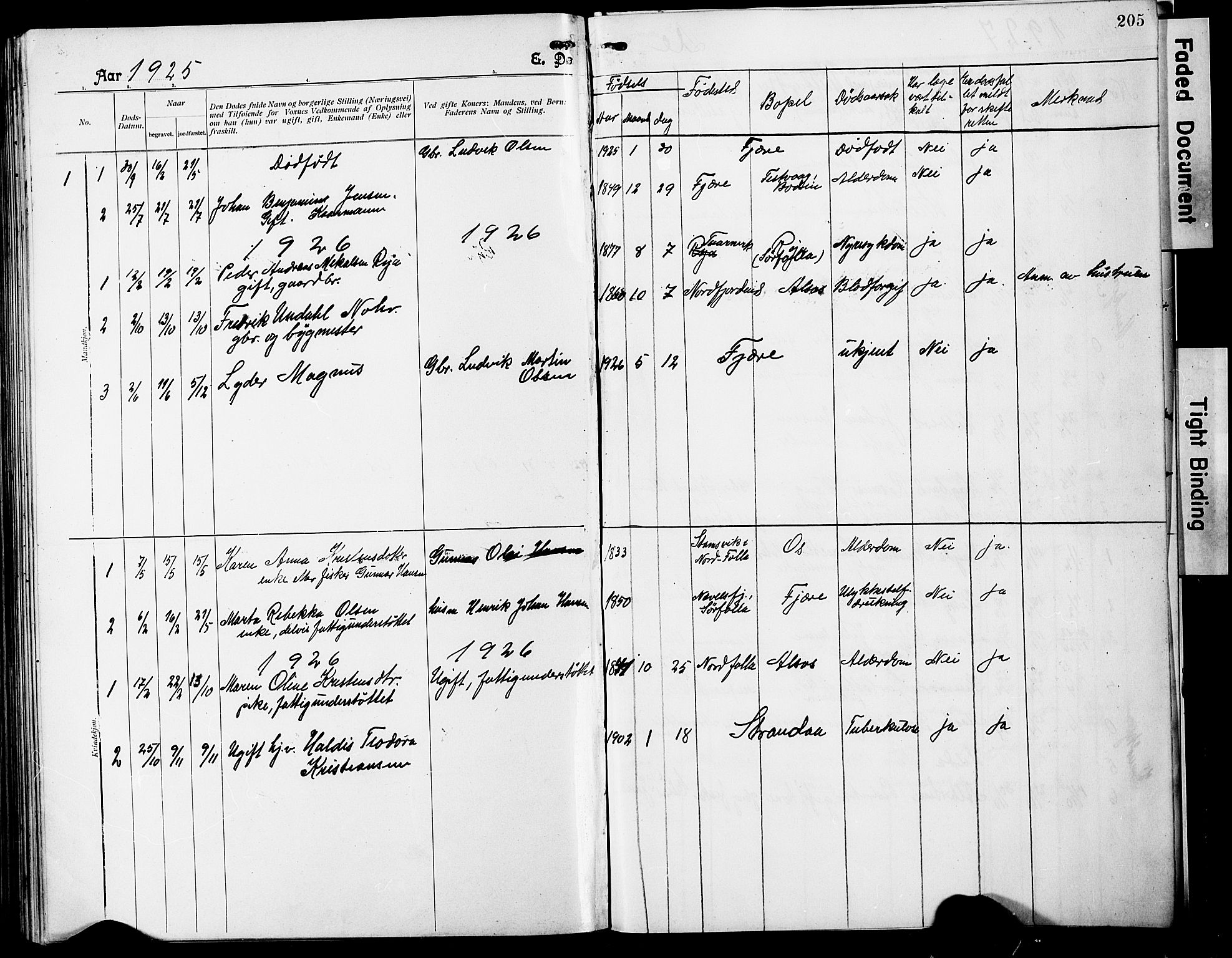 Ministerialprotokoller, klokkerbøker og fødselsregistre - Nordland, SAT/A-1459/803/L0077: Parish register (copy) no. 803C04, 1897-1930, p. 205