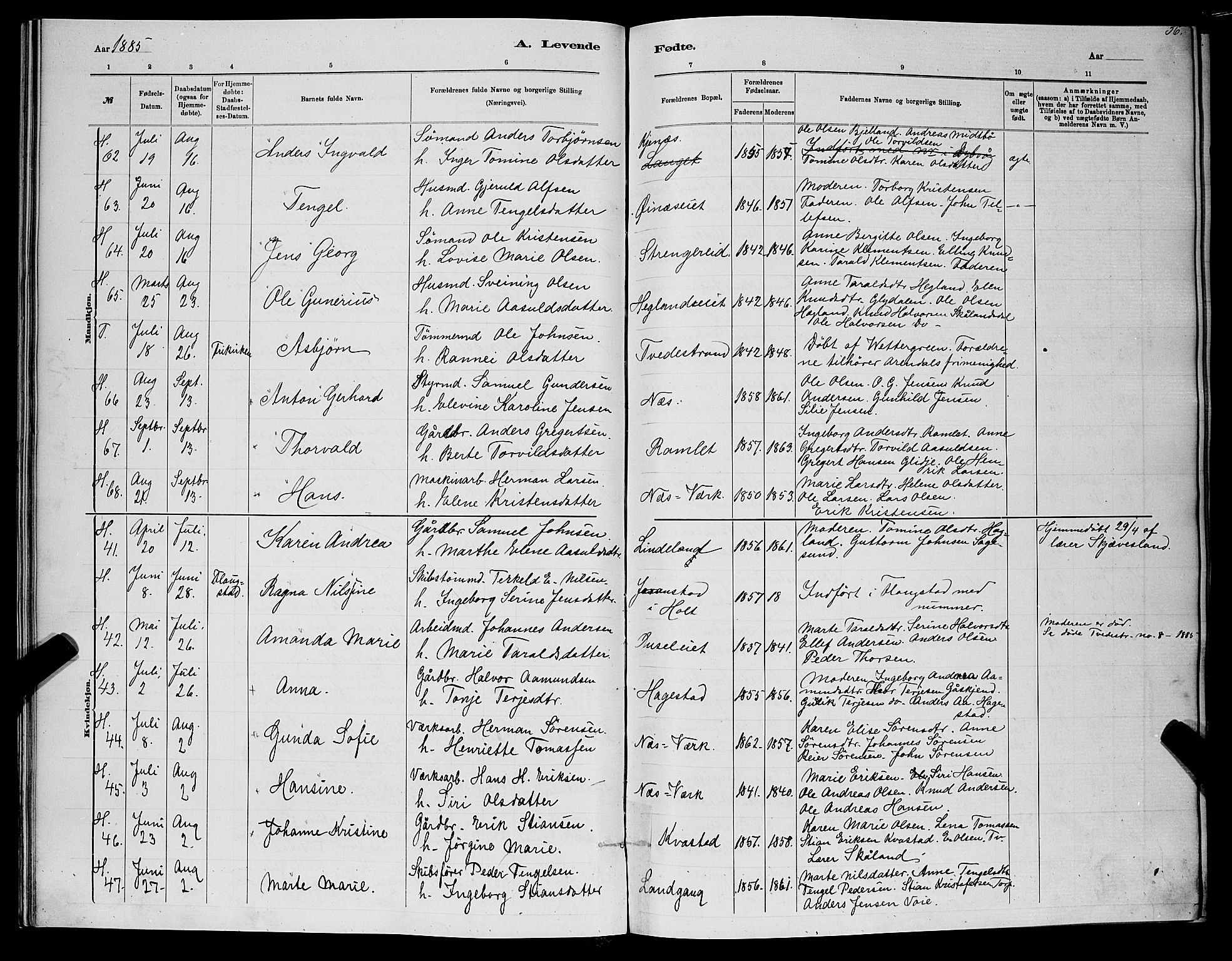 Holt sokneprestkontor, AV/SAK-1111-0021/F/Fb/L0010: Parish register (copy) no. B 10, 1883-1896, p. 36