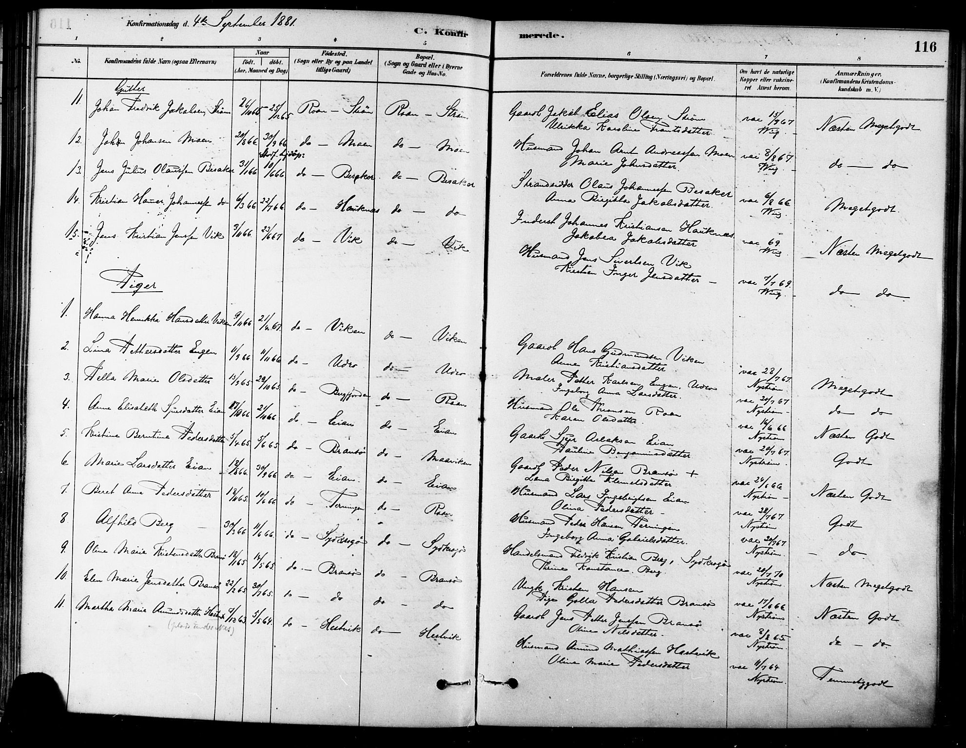 Ministerialprotokoller, klokkerbøker og fødselsregistre - Sør-Trøndelag, AV/SAT-A-1456/657/L0707: Parish register (official) no. 657A08, 1879-1893, p. 116