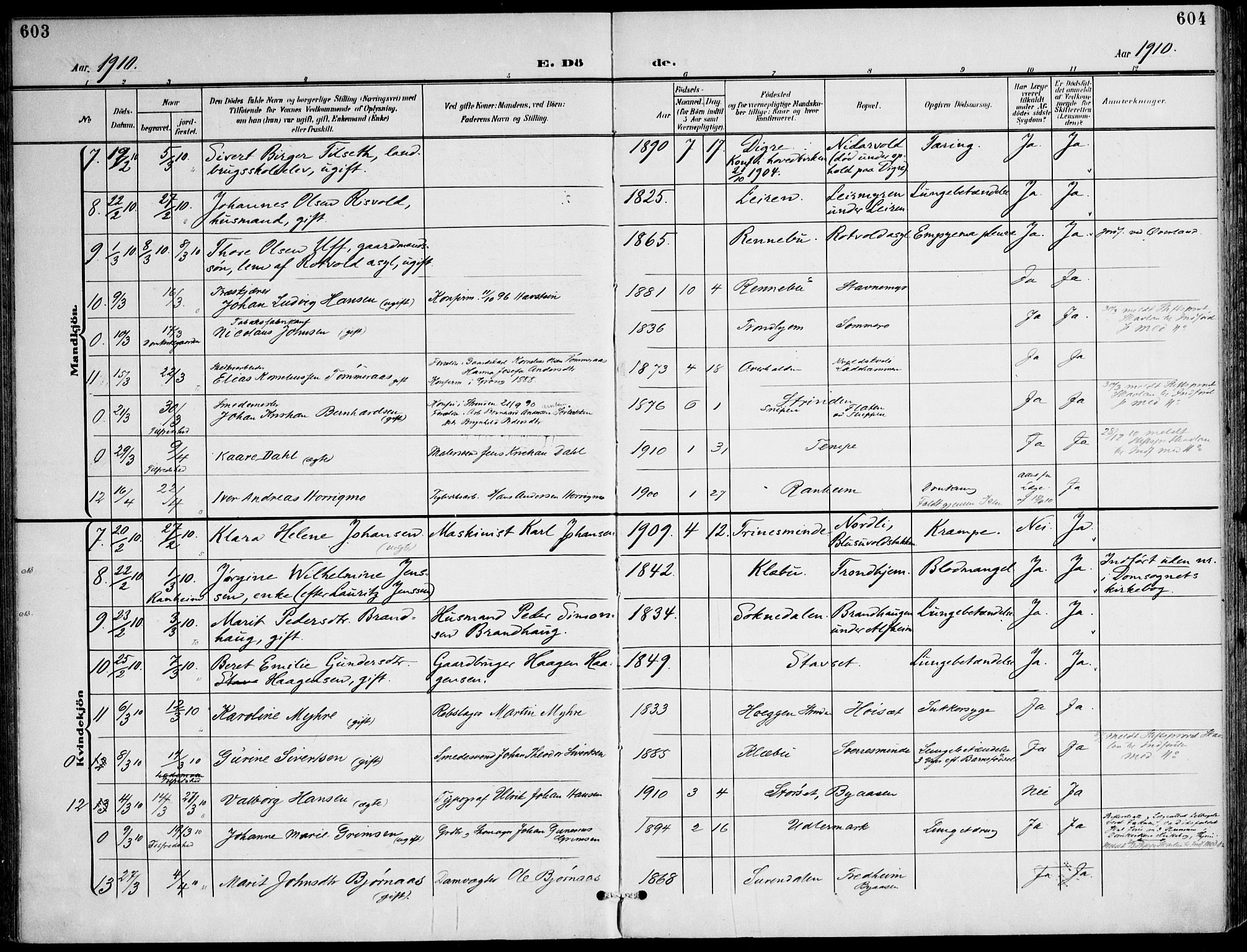 Ministerialprotokoller, klokkerbøker og fødselsregistre - Sør-Trøndelag, AV/SAT-A-1456/607/L0320: Parish register (official) no. 607A04, 1907-1915, p. 603-604