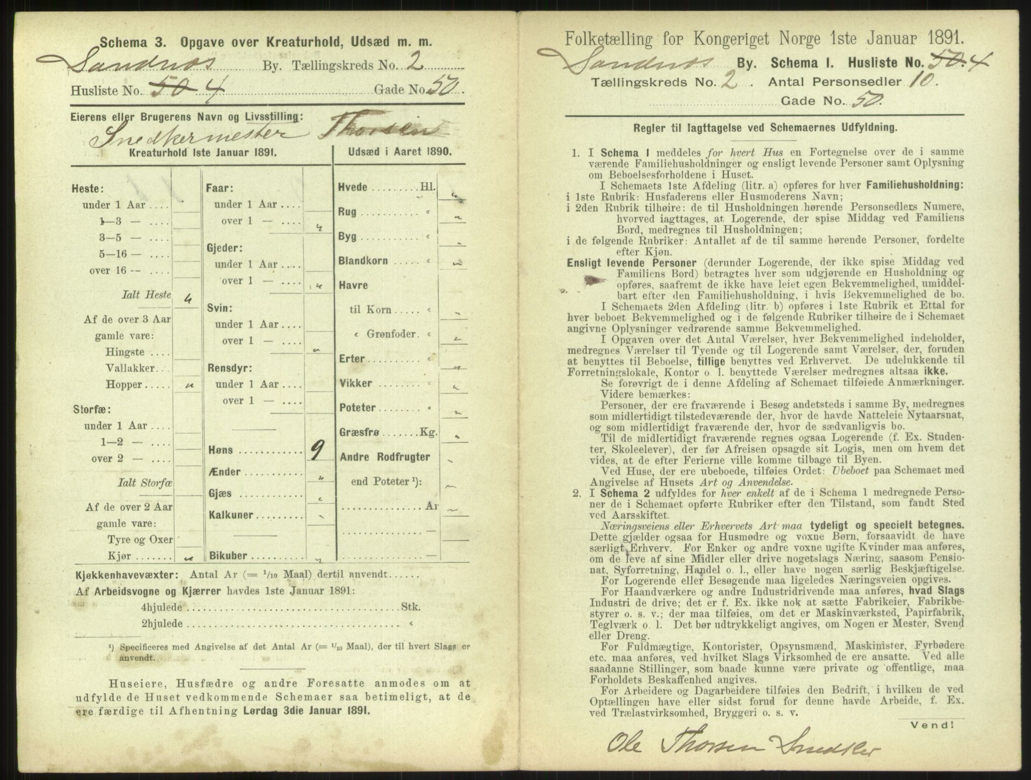 RA, 1891 census for 1102 Sandnes, 1891, p. 147