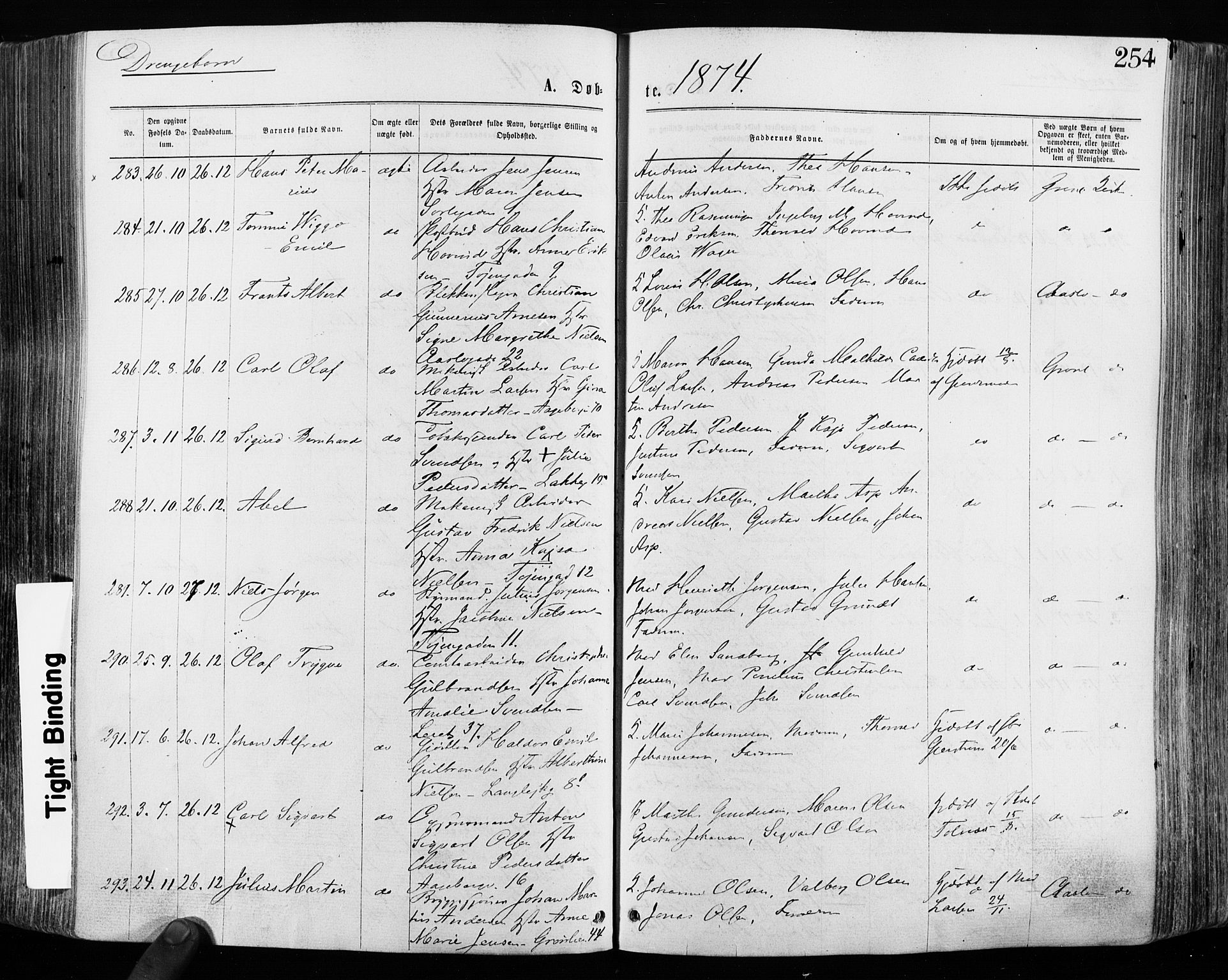 Grønland prestekontor Kirkebøker, SAO/A-10848/F/Fa/L0004: Parish register (official) no. 4, 1869-1880, p. 254