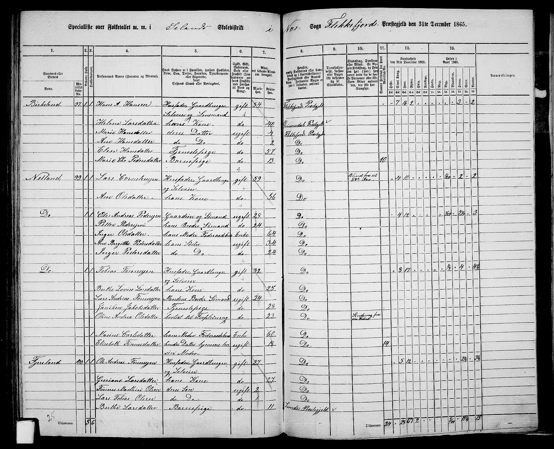 RA, 1865 census for Flekkefjord/Nes og Hidra, 1865, p. 162
