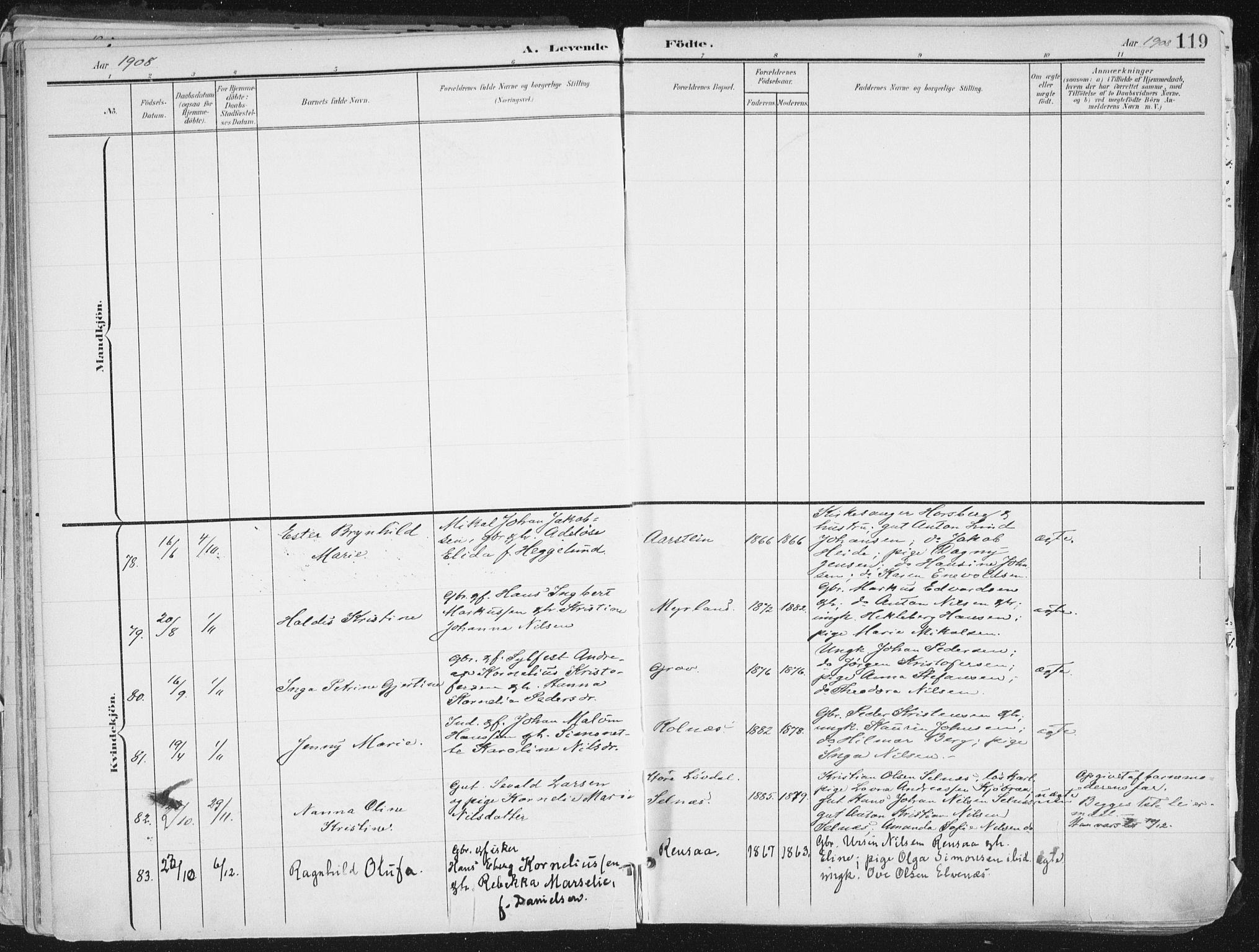 Ibestad sokneprestembete, AV/SATØ-S-0077/H/Ha/Haa/L0017kirke: Parish register (official) no. 17, 1901-1914, p. 119