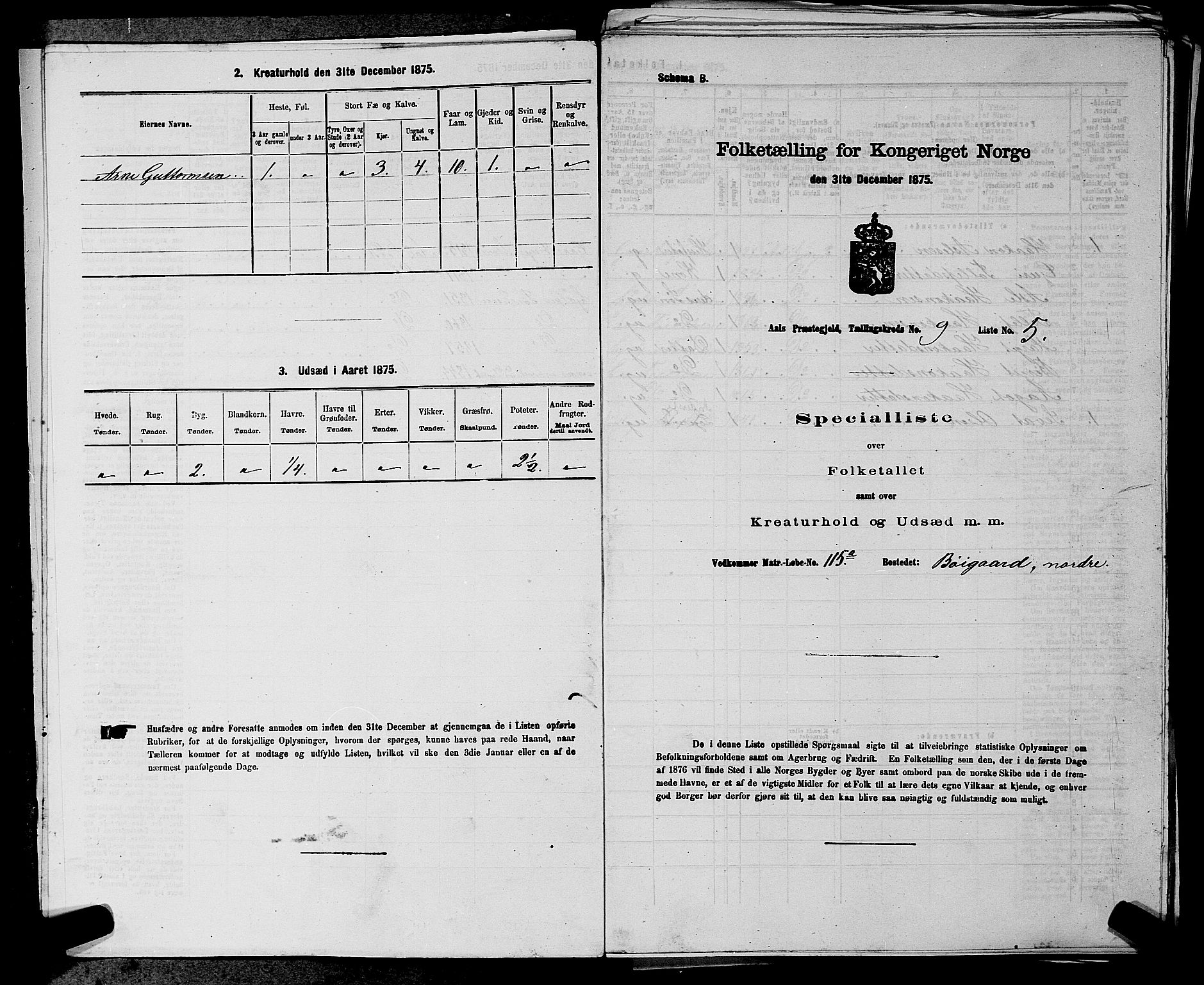 SAKO, 1875 census for 0619P Ål, 1875, p. 1100