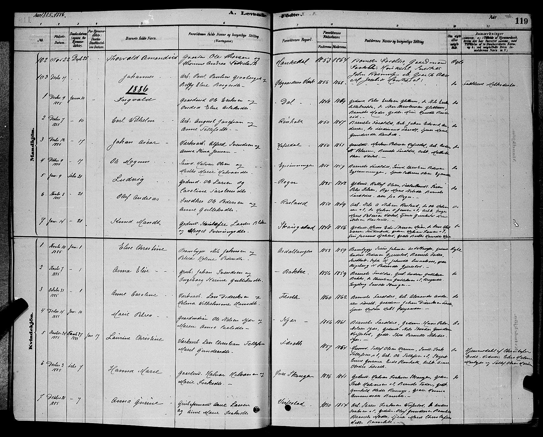 Bamble kirkebøker, AV/SAKO-A-253/G/Ga/L0008: Parish register (copy) no. I 8, 1878-1888, p. 119