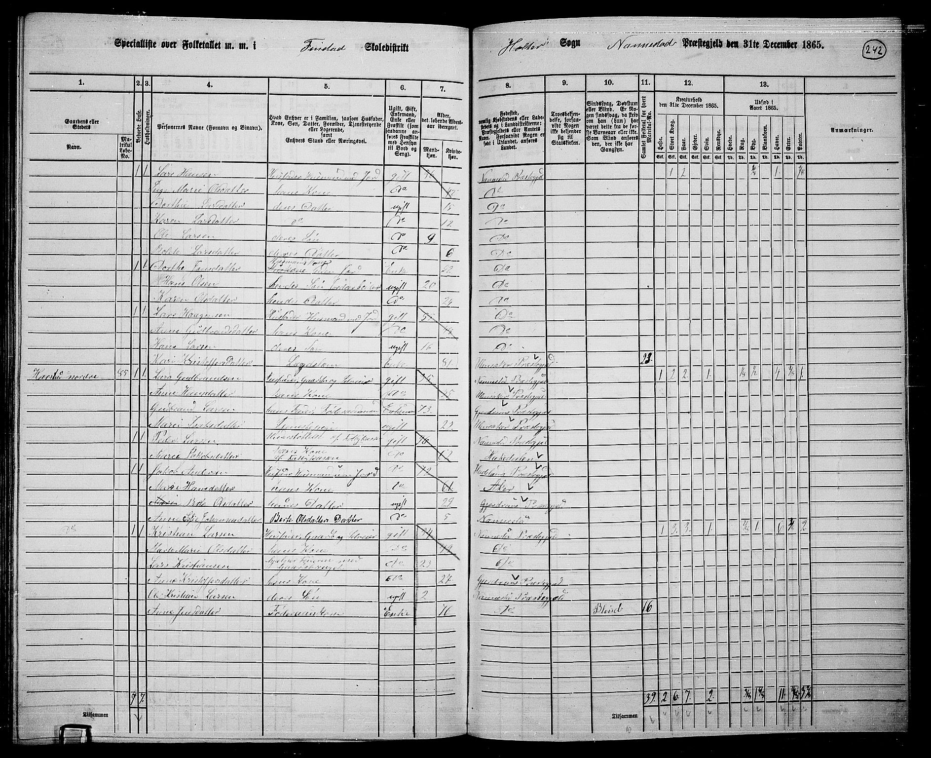 RA, 1865 census for Nannestad, 1865, p. 119