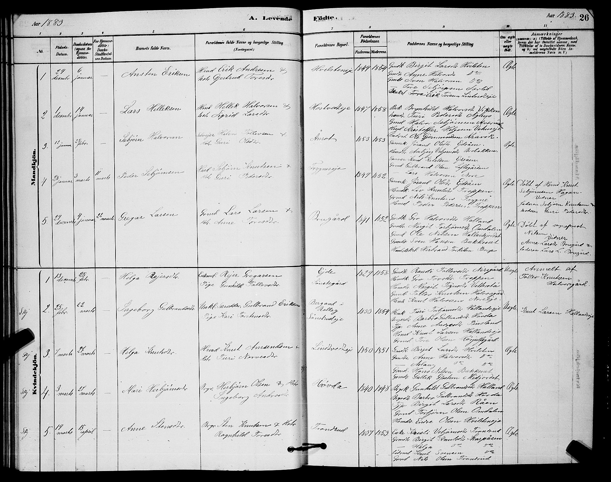 Nore kirkebøker, AV/SAKO-A-238/G/Ga/L0002: Parish register (copy) no. I 2, 1878-1885, p. 26