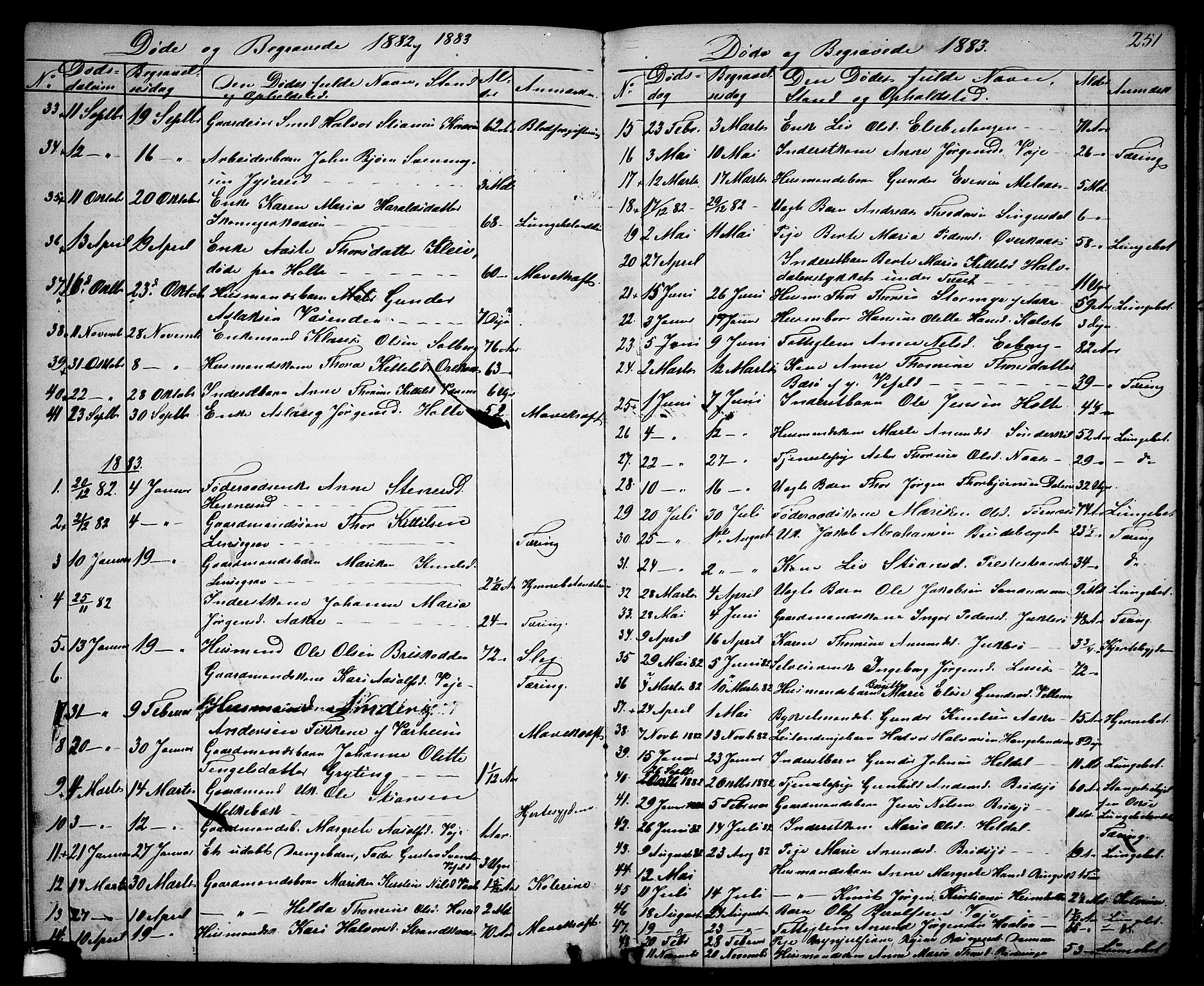 Drangedal kirkebøker, SAKO/A-258/G/Ga/L0002: Parish register (copy) no. I 2, 1856-1887, p. 251