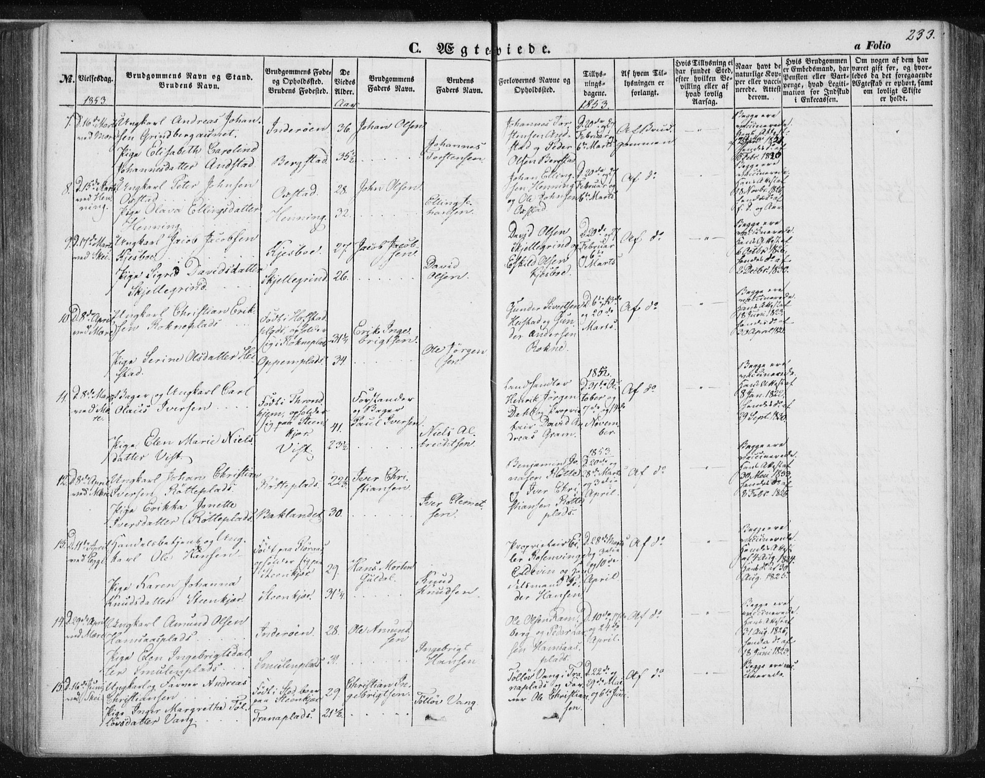 Ministerialprotokoller, klokkerbøker og fødselsregistre - Nord-Trøndelag, SAT/A-1458/735/L0342: Parish register (official) no. 735A07 /1, 1849-1862, p. 233