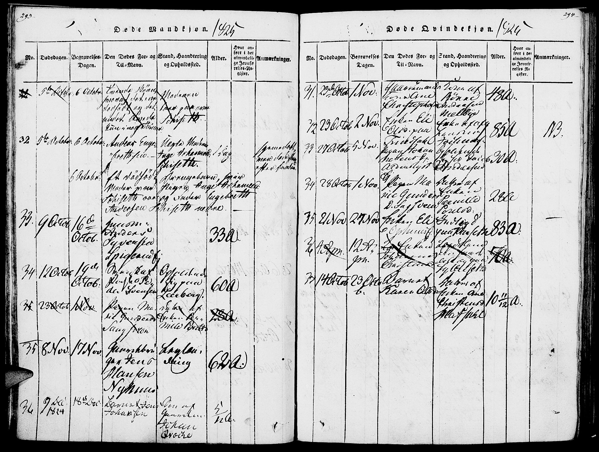 Vang prestekontor, Hedmark, AV/SAH-PREST-008/H/Ha/Haa/L0007: Parish register (official) no. 7, 1813-1826, p. 293-294