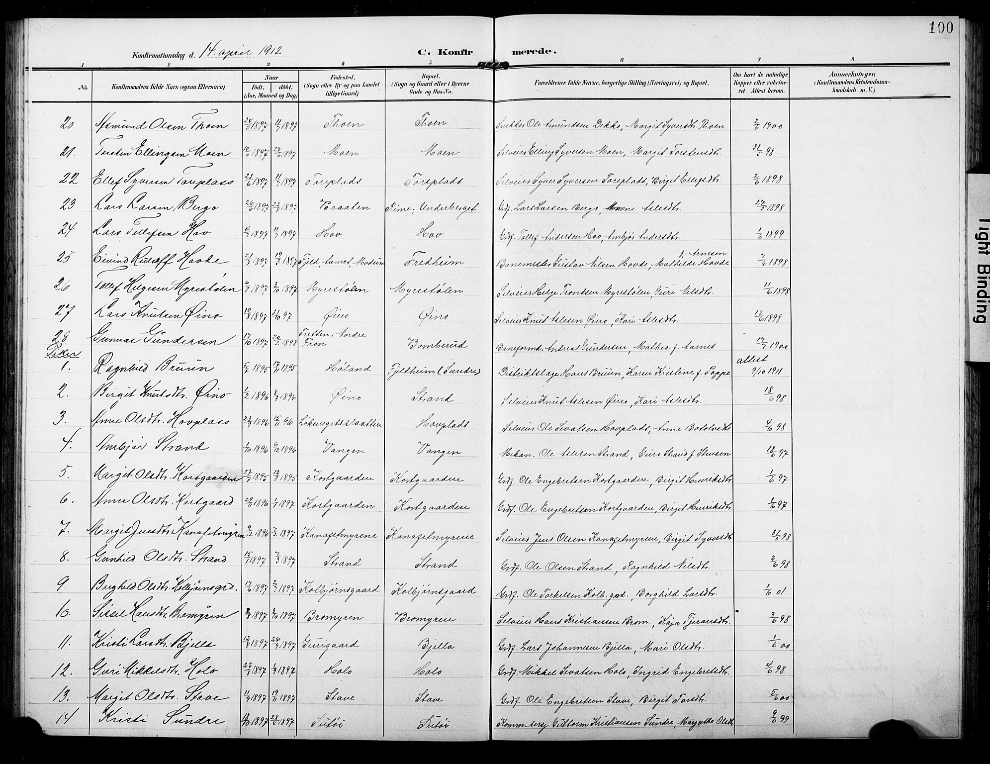 Ål kirkebøker, AV/SAKO-A-249/G/Ga/L0002: Parish register (copy) no. 2, 1904-1928, p. 100