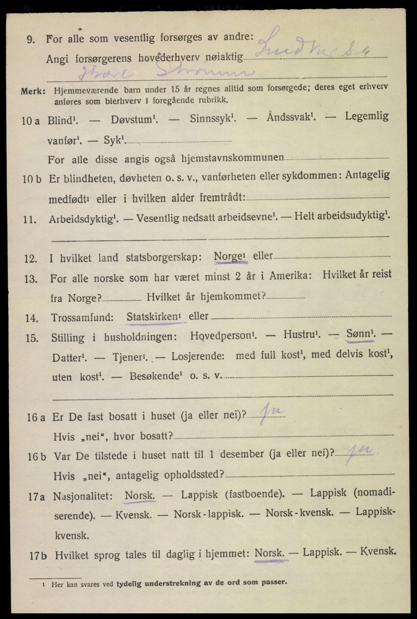 SAT, 1920 census for Bø, 1920, p. 4335