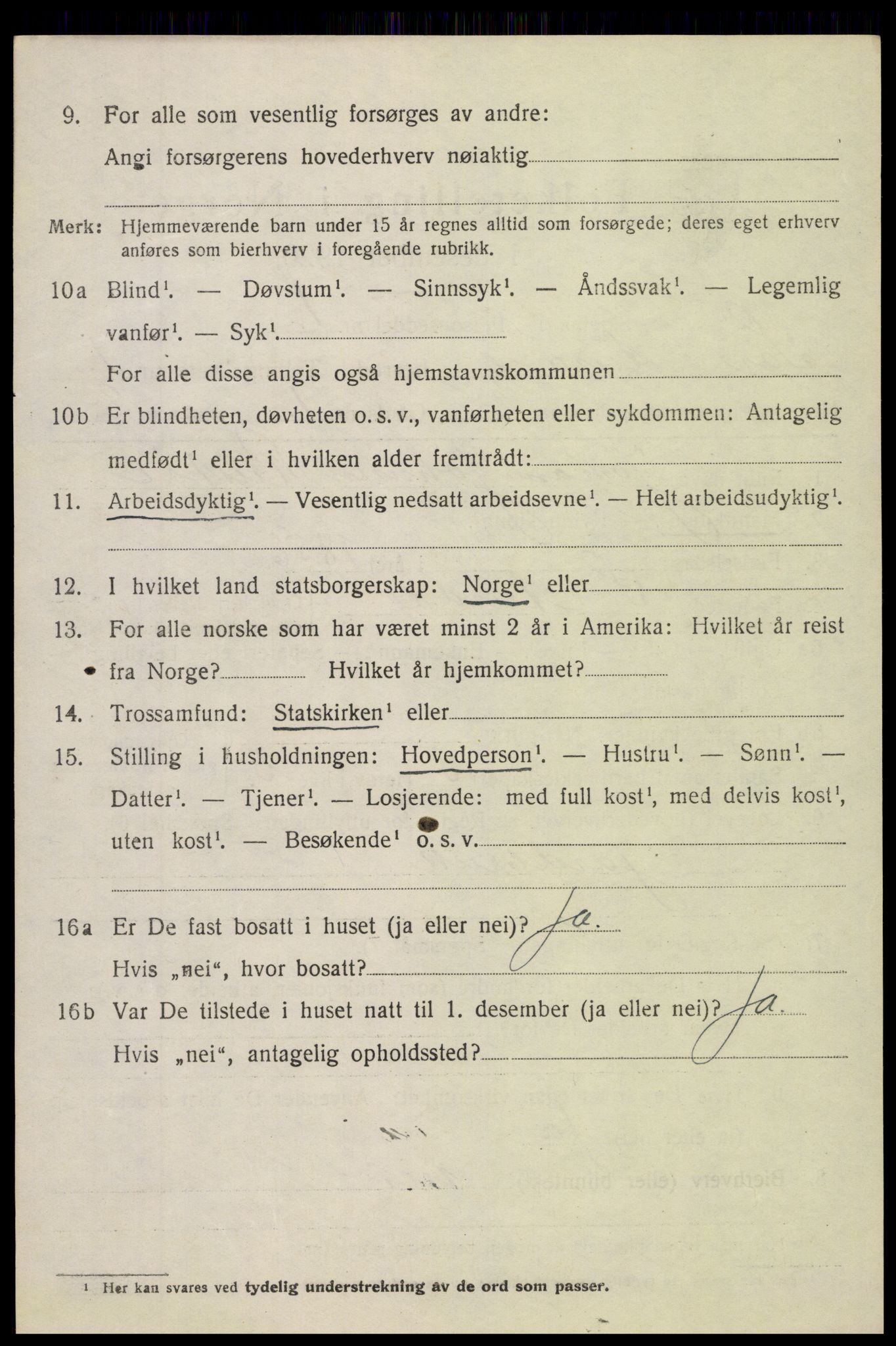 SAH, 1920 census for Sør-Aurdal, 1920, p. 1530