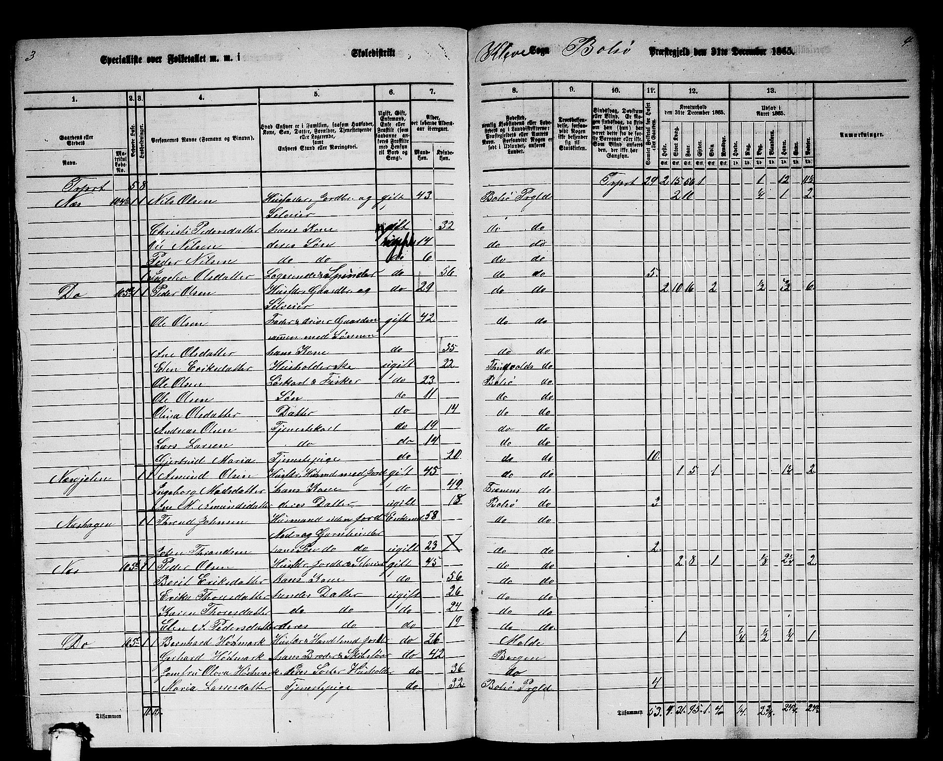 RA, 1865 census for Bolsøy, 1865, p. 99