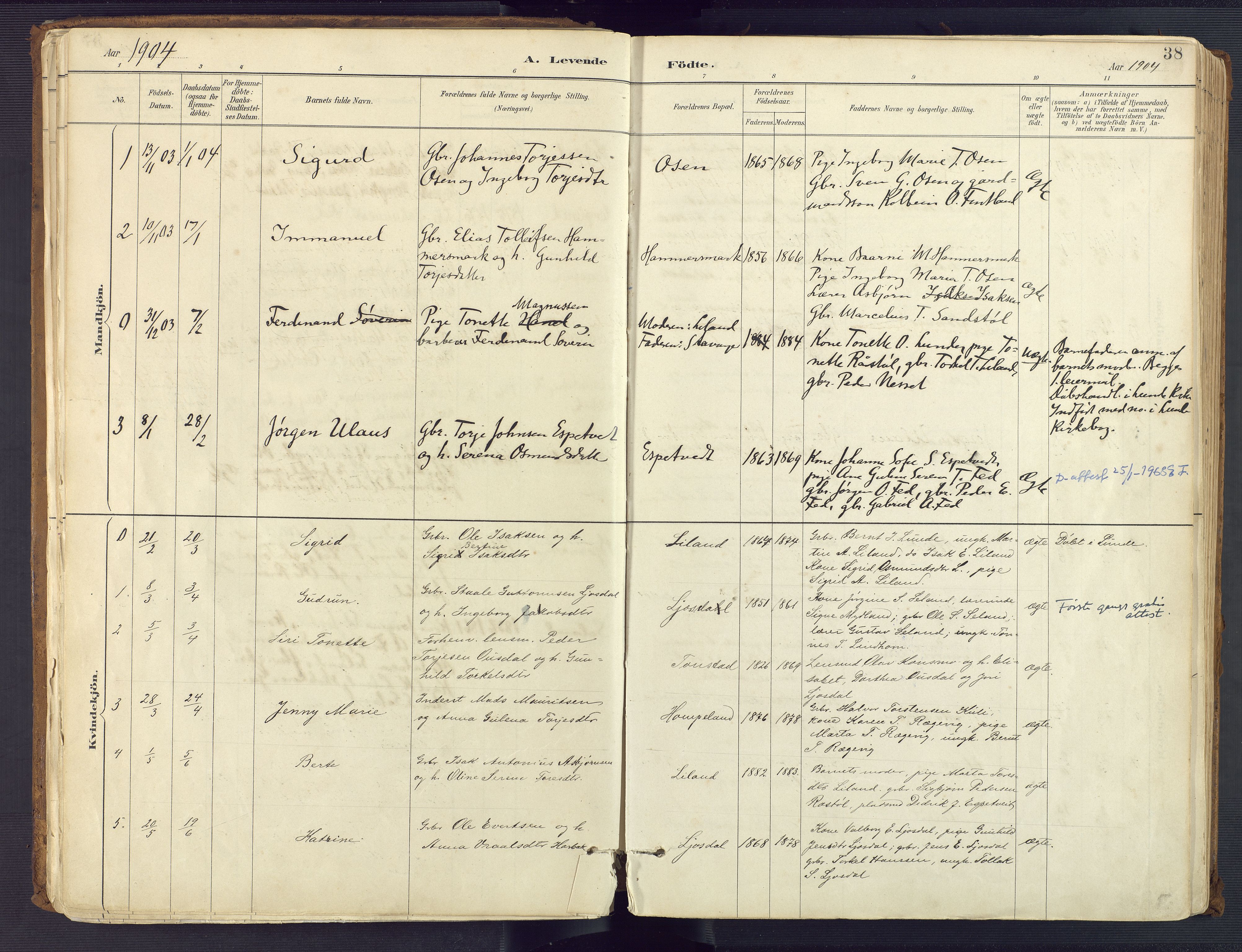 Sirdal sokneprestkontor, AV/SAK-1111-0036/F/Fa/Fab/L0004: Parish register (official) no. A 4, 1887-1919, p. 38