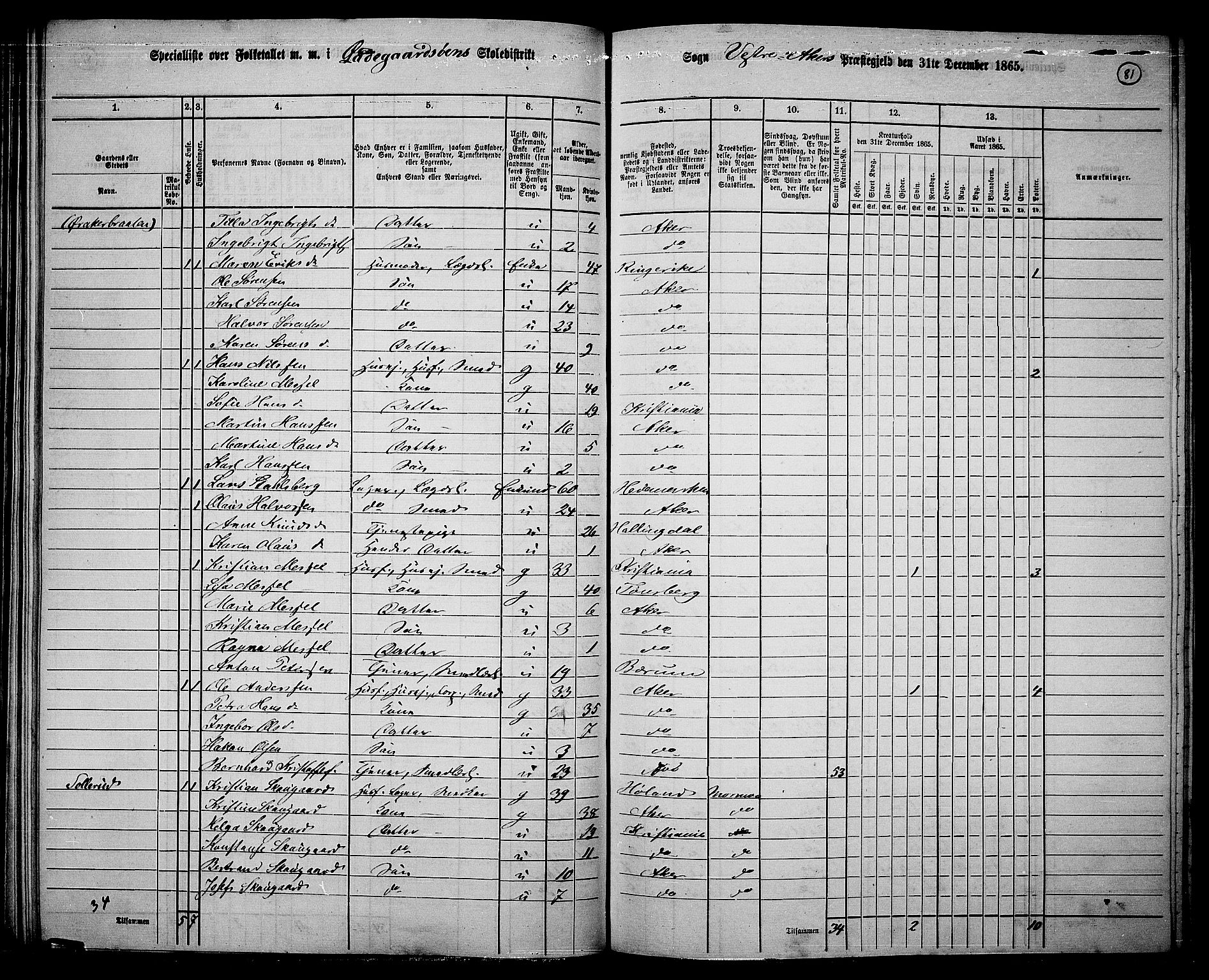 RA, 1865 census for Vestre Aker, 1865, p. 78