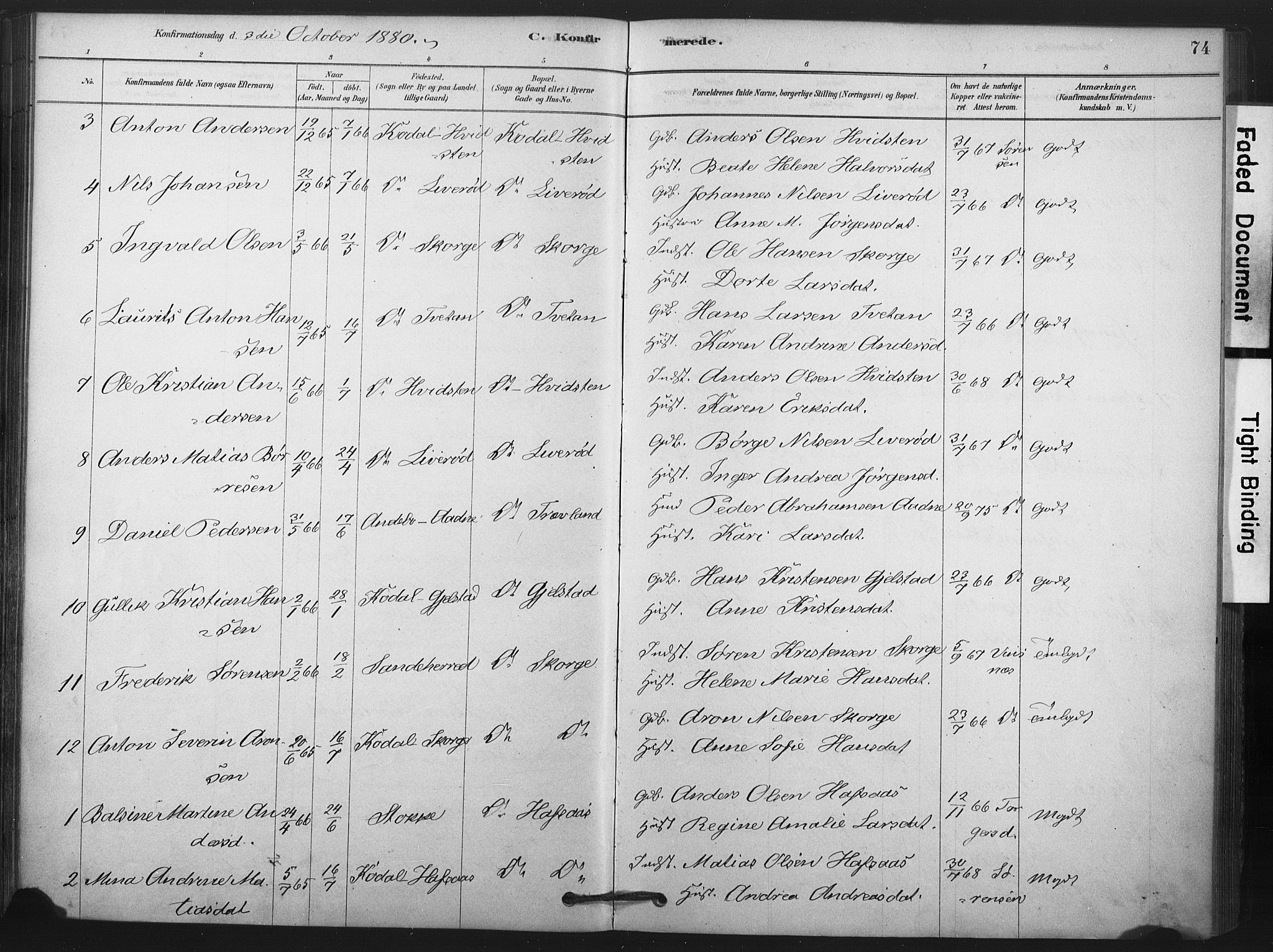 Andebu kirkebøker, AV/SAKO-A-336/F/Fa/L0008: Parish register (official) no. 8, 1878-1902, p. 74