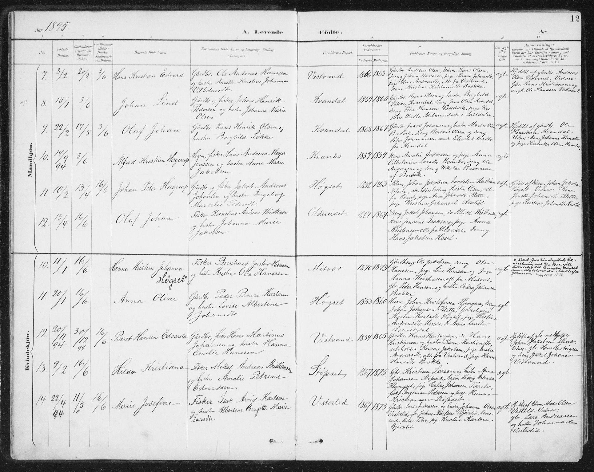 Ministerialprotokoller, klokkerbøker og fødselsregistre - Nordland, AV/SAT-A-1459/852/L0741: Parish register (official) no. 852A11, 1894-1917, p. 12