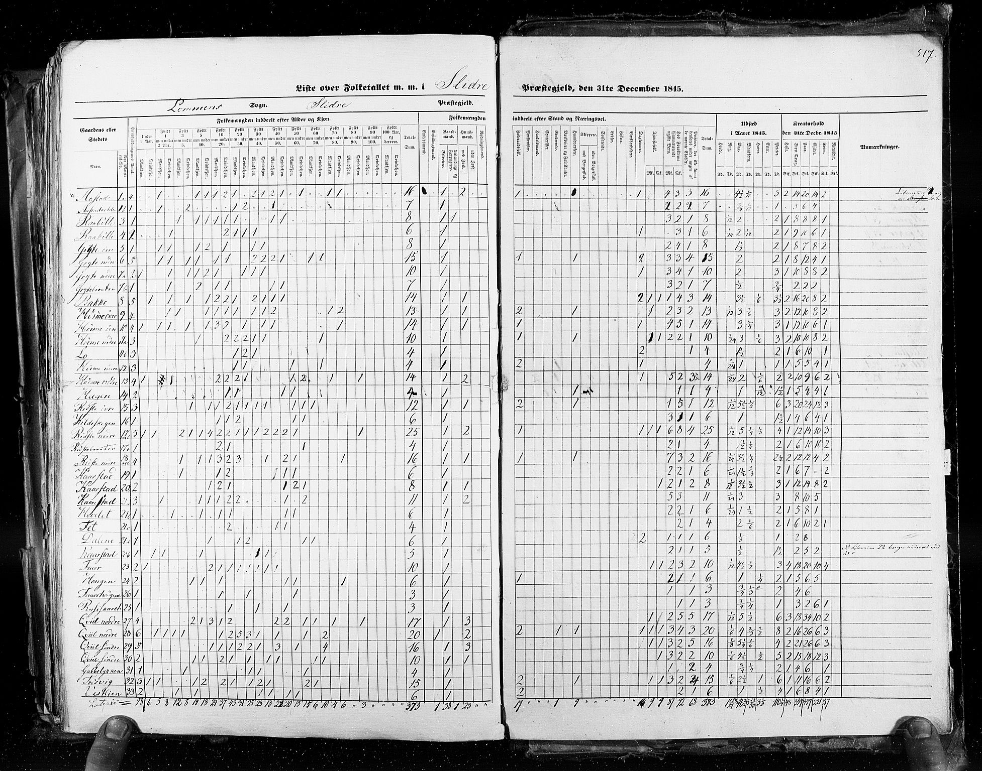 RA, Census 1845, vol. 3: Hedemarken amt og Kristians amt, 1845, p. 517