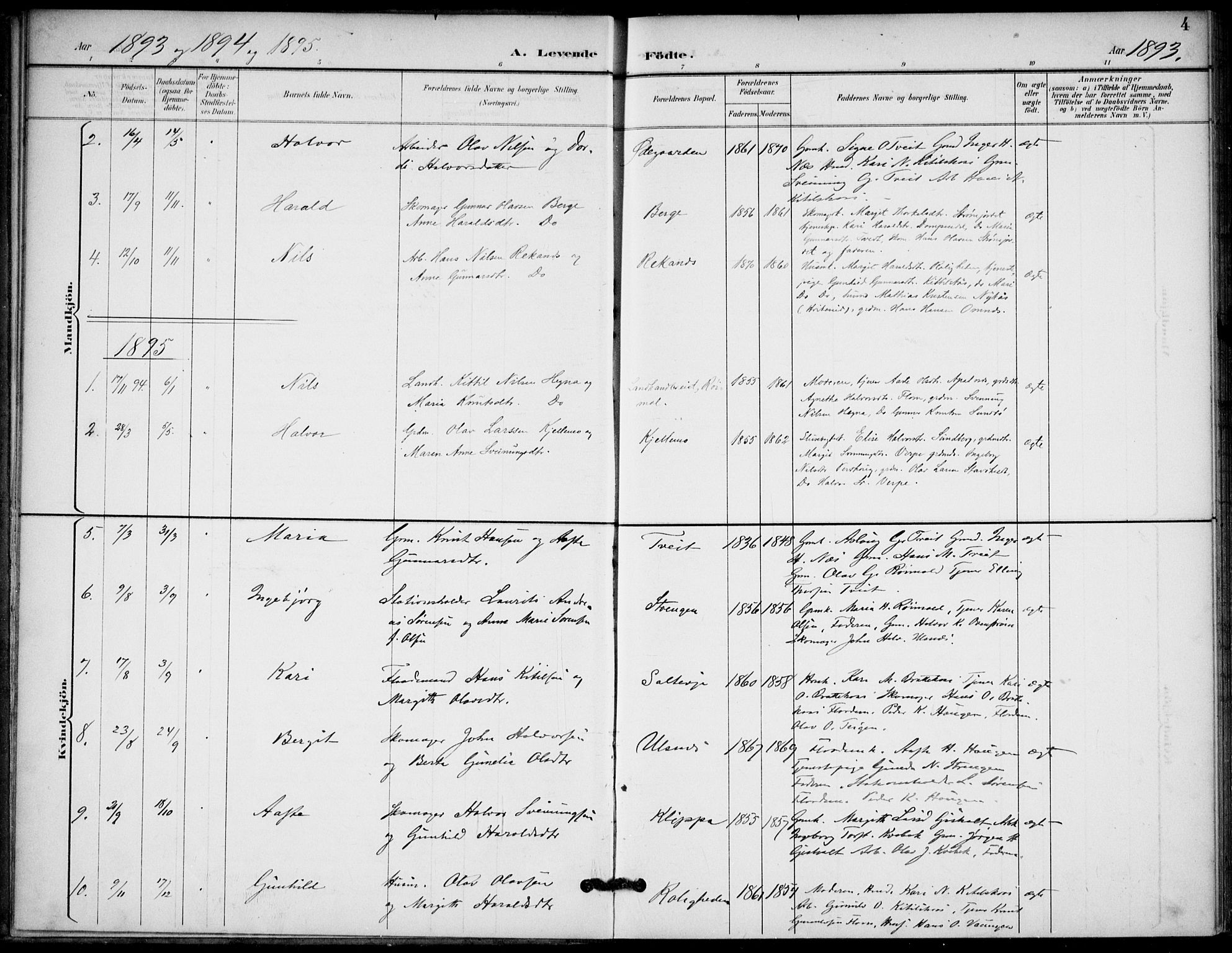 Lunde kirkebøker, SAKO/A-282/F/Fb/L0004: Parish register (official) no. II 4, 1892-1907, p. 4