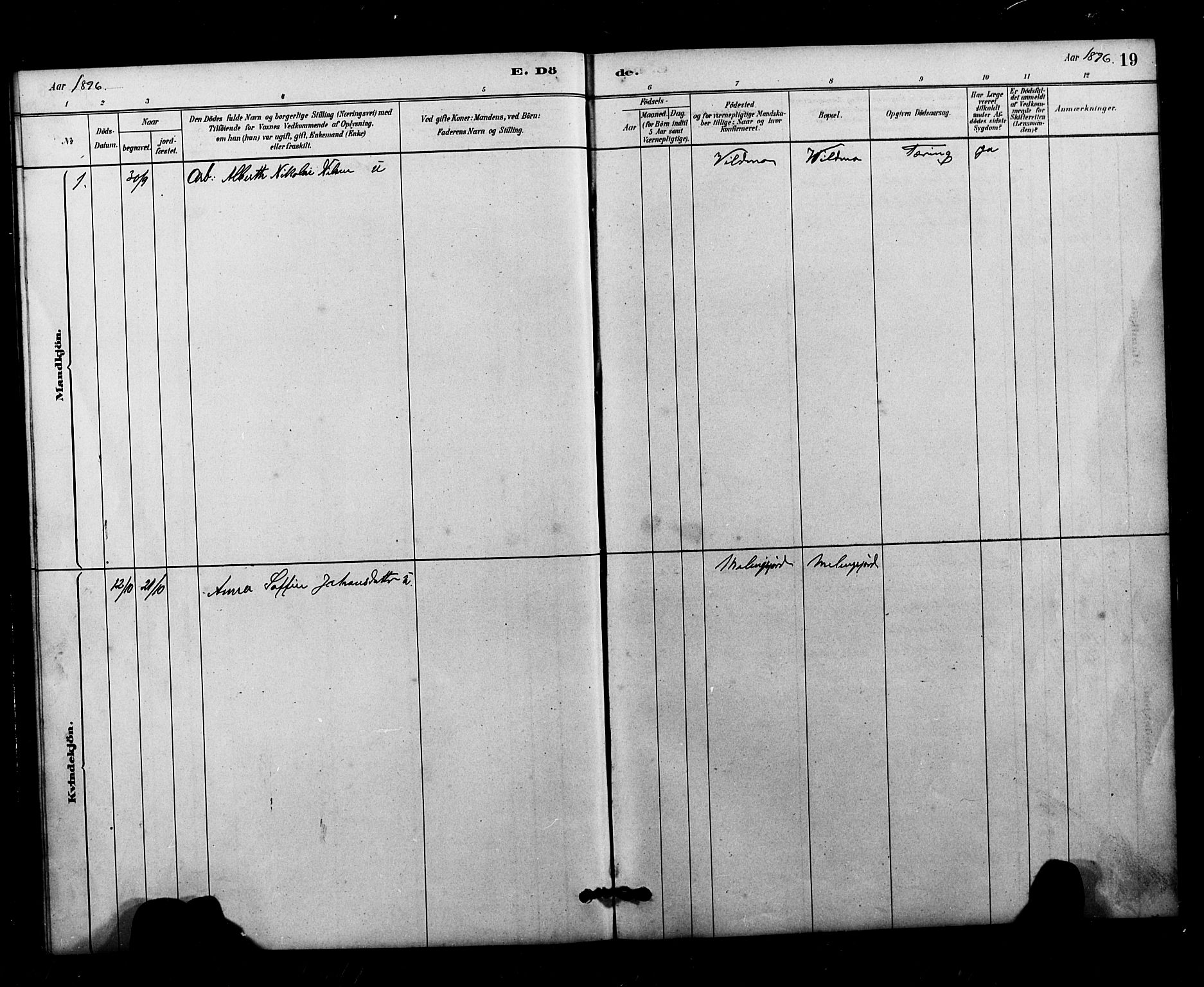 Ministerialprotokoller, klokkerbøker og fødselsregistre - Nordland, AV/SAT-A-1459/826/L0382: Parish register (copy) no. 826C02, 1879-1914, p. 19