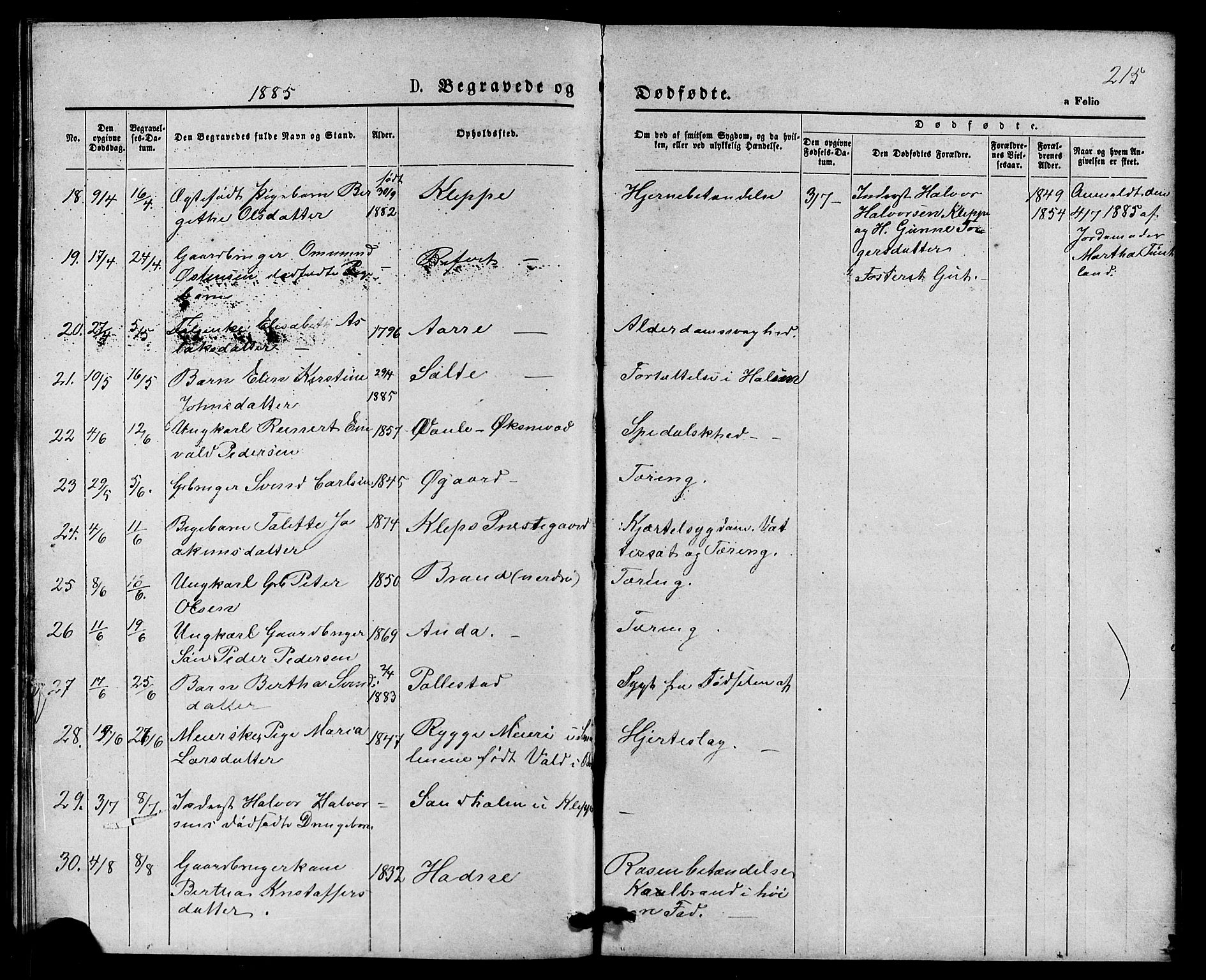 Klepp sokneprestkontor, AV/SAST-A-101803/001/3/30BB/L0003: Parish register (copy) no. B 3, 1876-1888, p. 215