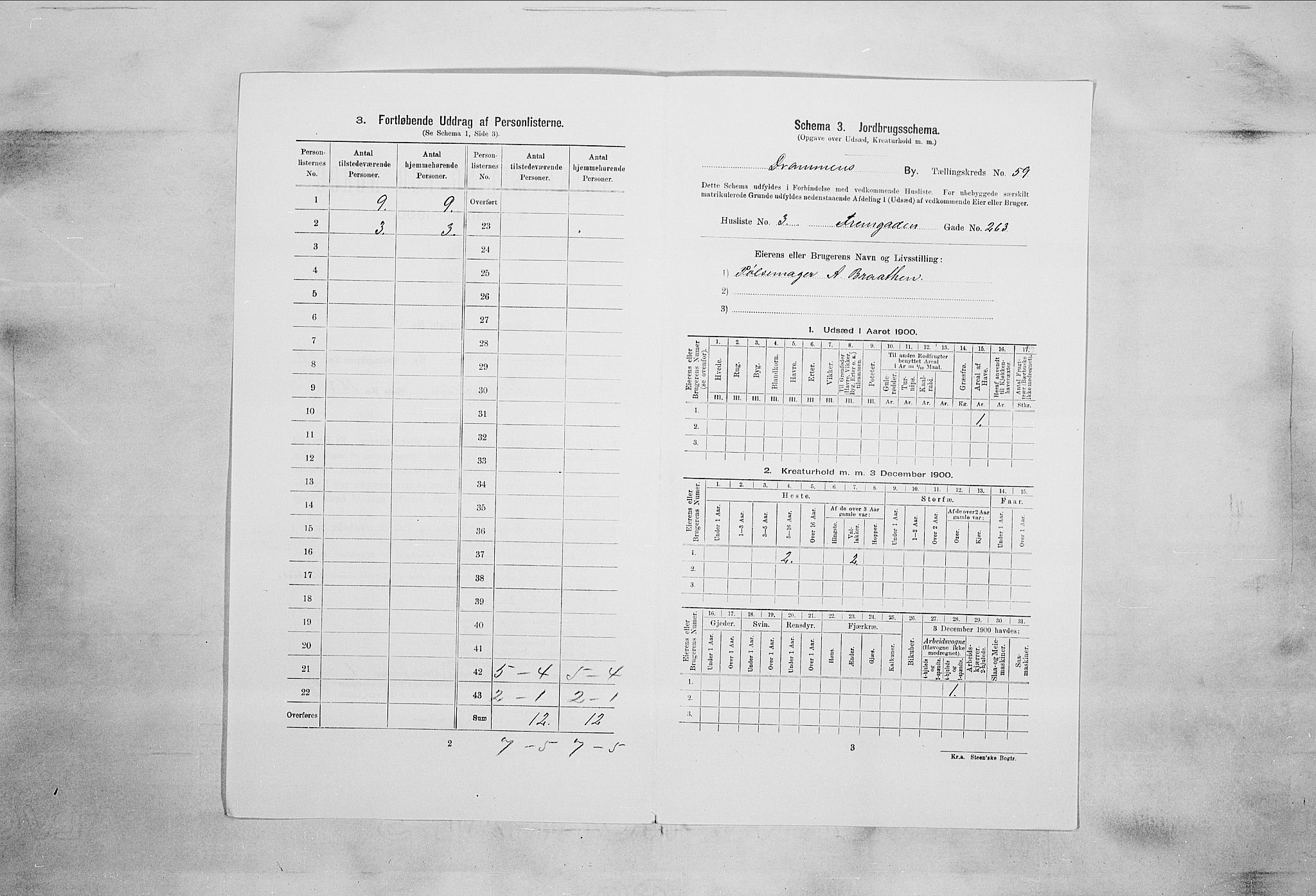 RA, 1900 census for Drammen, 1900, p. 13861