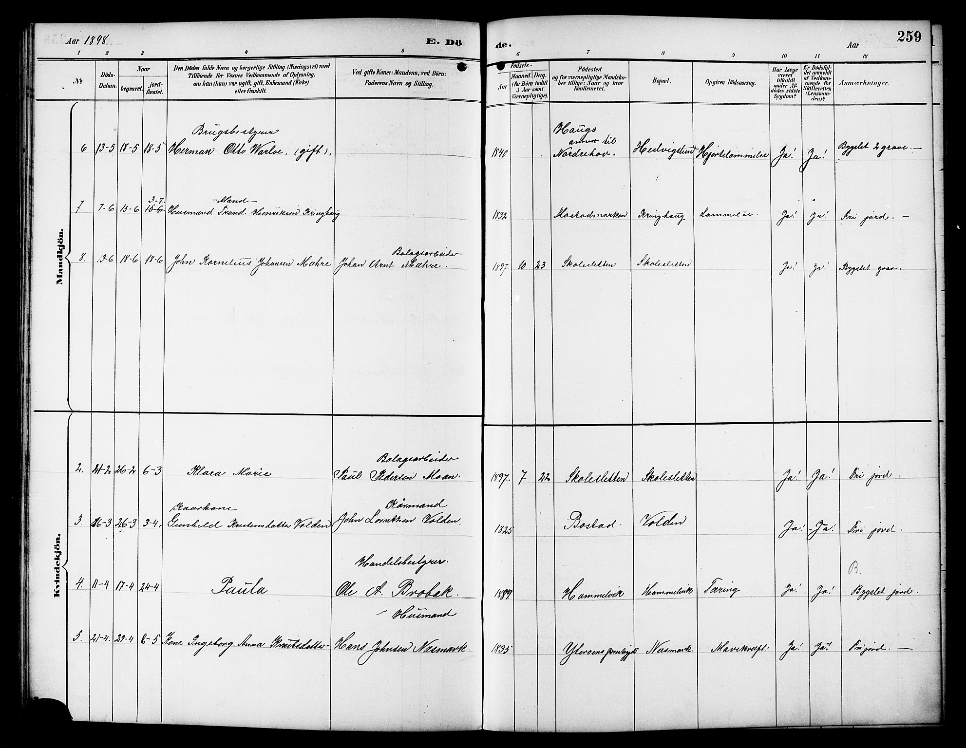 Ministerialprotokoller, klokkerbøker og fødselsregistre - Sør-Trøndelag, SAT/A-1456/617/L0431: Parish register (copy) no. 617C01, 1889-1910, p. 259