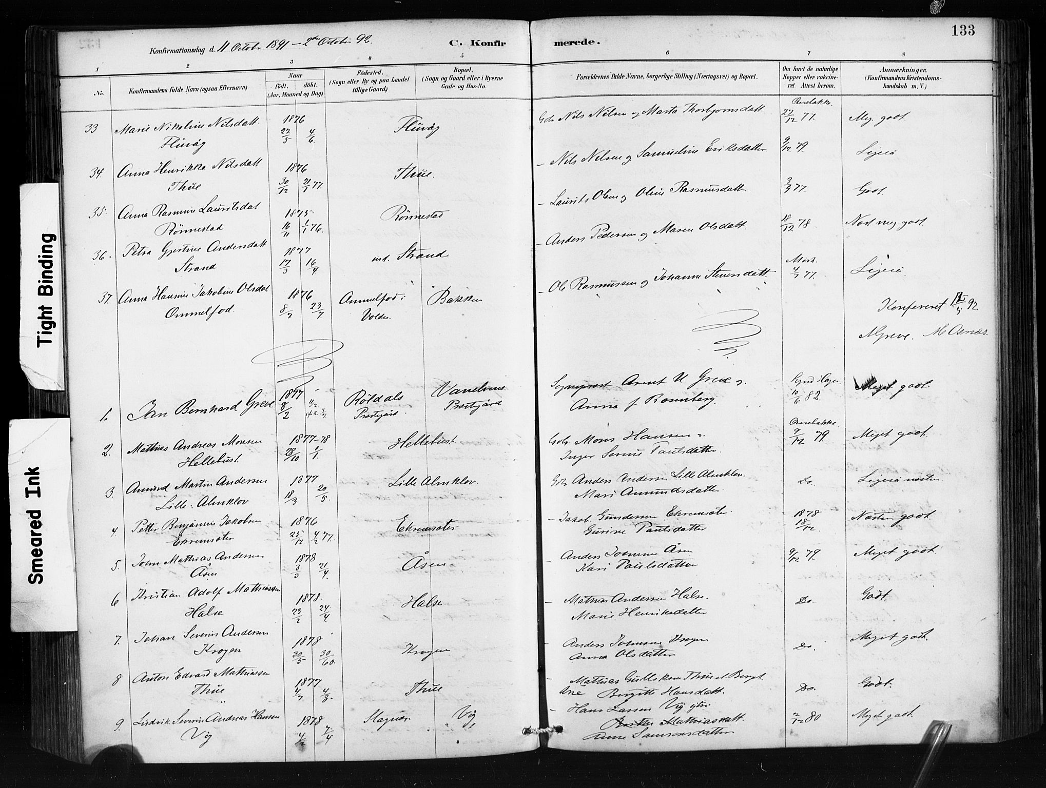 Ministerialprotokoller, klokkerbøker og fødselsregistre - Møre og Romsdal, AV/SAT-A-1454/501/L0008: Parish register (official) no. 501A08, 1885-1901, p. 133