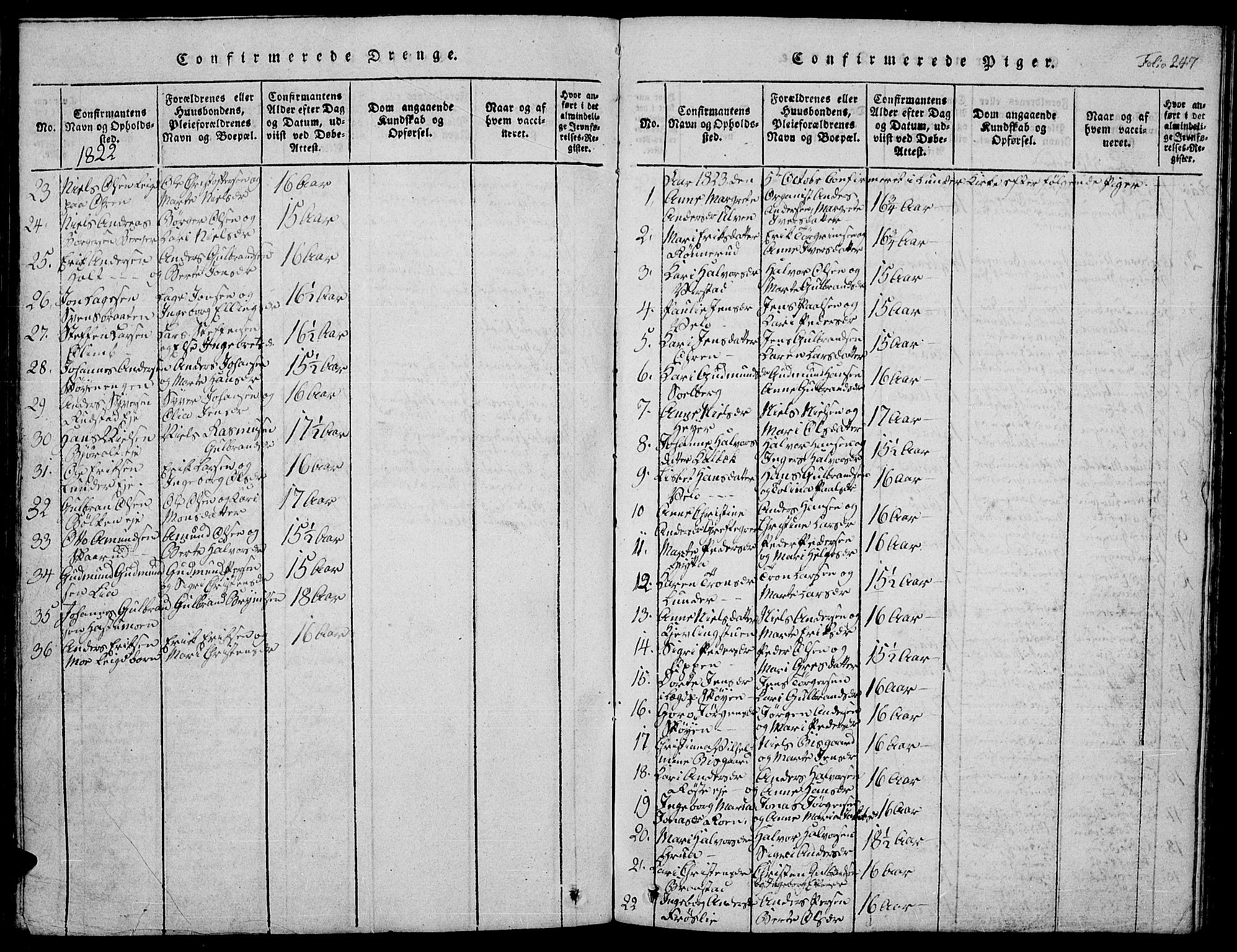 Jevnaker prestekontor, SAH/PREST-116/H/Ha/Hab/L0001: Parish register (copy) no. 1, 1815-1837, p. 247