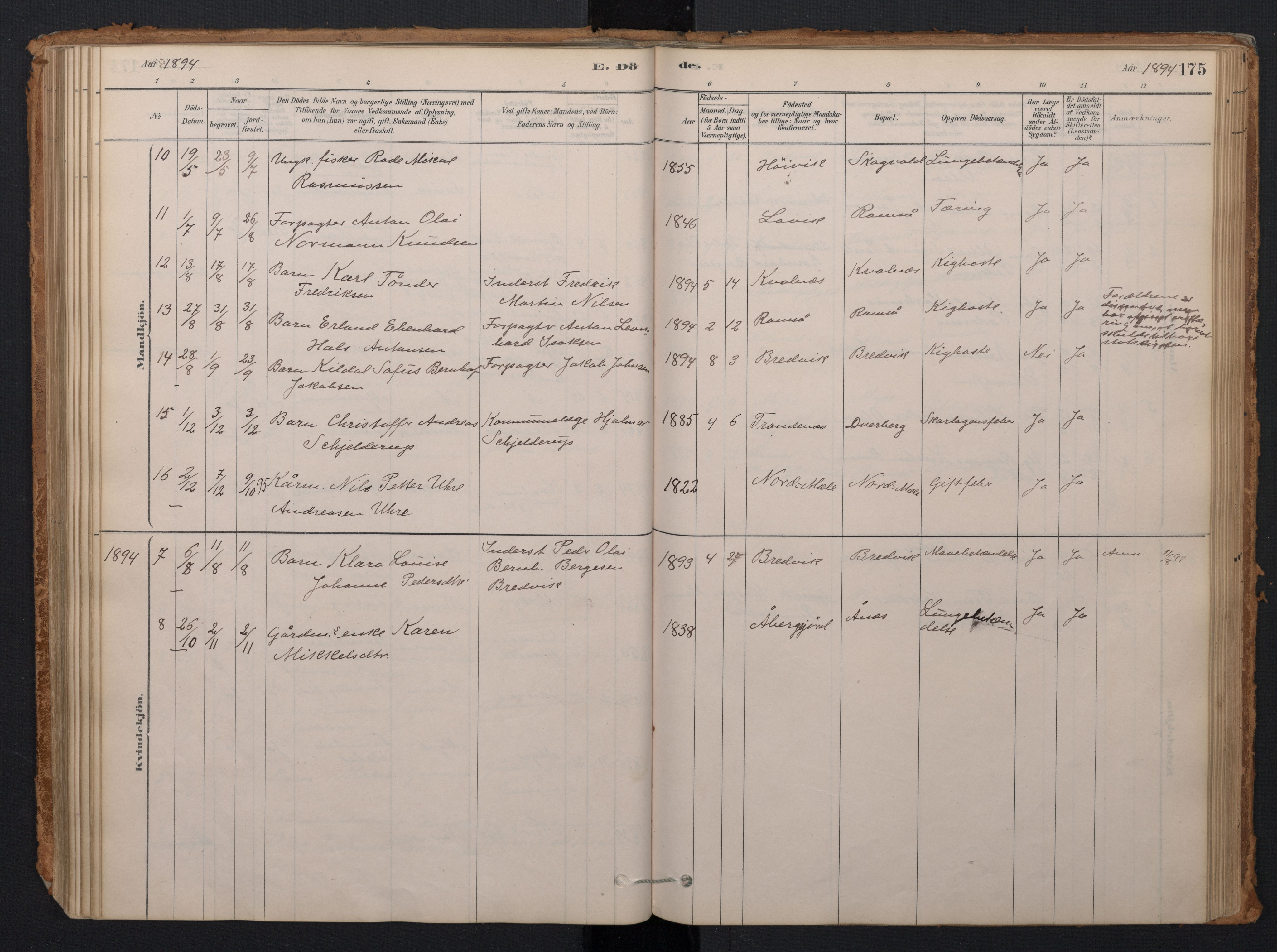 Ministerialprotokoller, klokkerbøker og fødselsregistre - Nordland, AV/SAT-A-1459/897/L1399: Parish register (official) no. 897A06, 1881-1896, p. 175