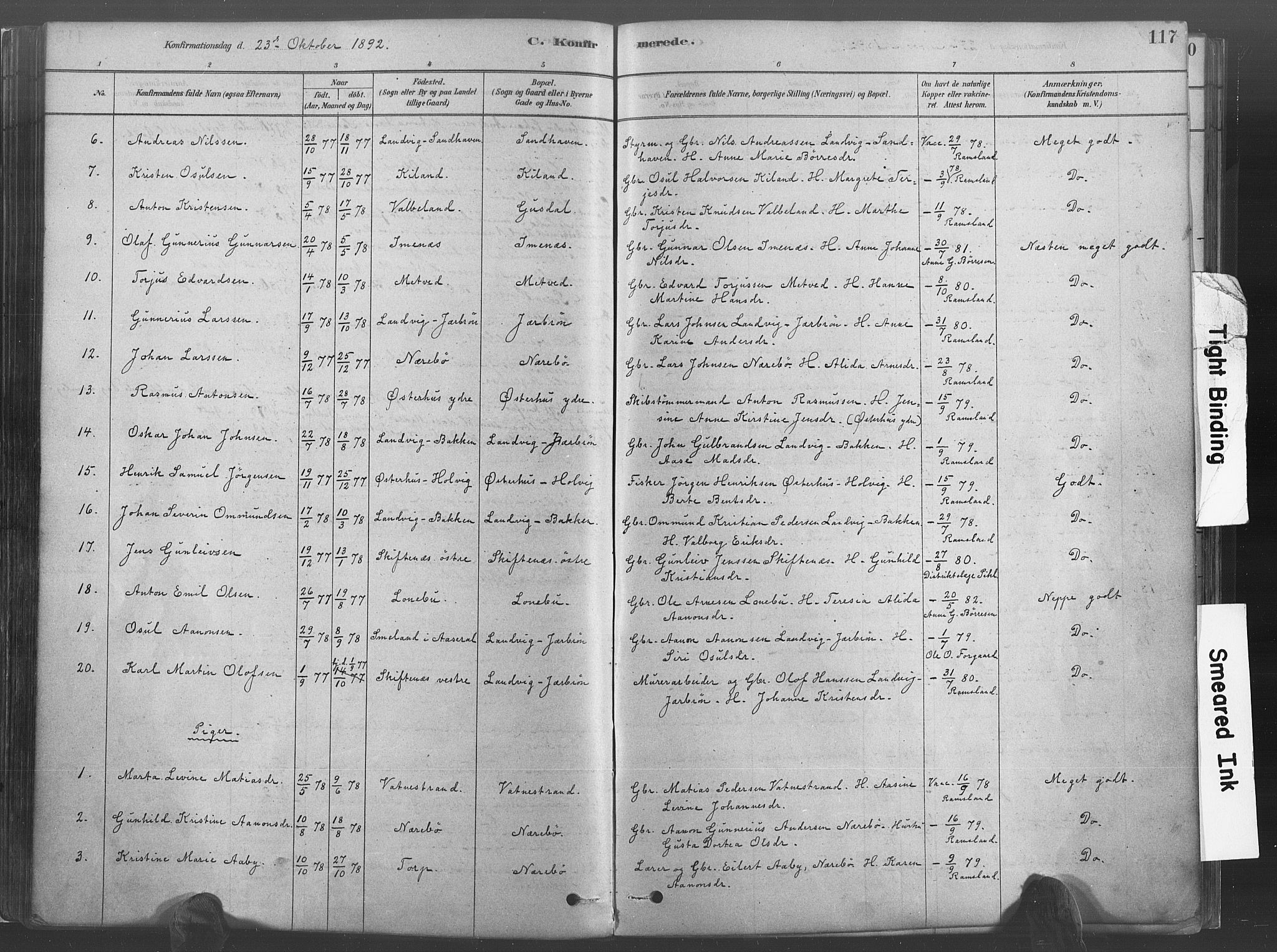 Hommedal sokneprestkontor, SAK/1111-0023/F/Fa/Fab/L0006: Parish register (official) no. A 6, 1878-1897, p. 117