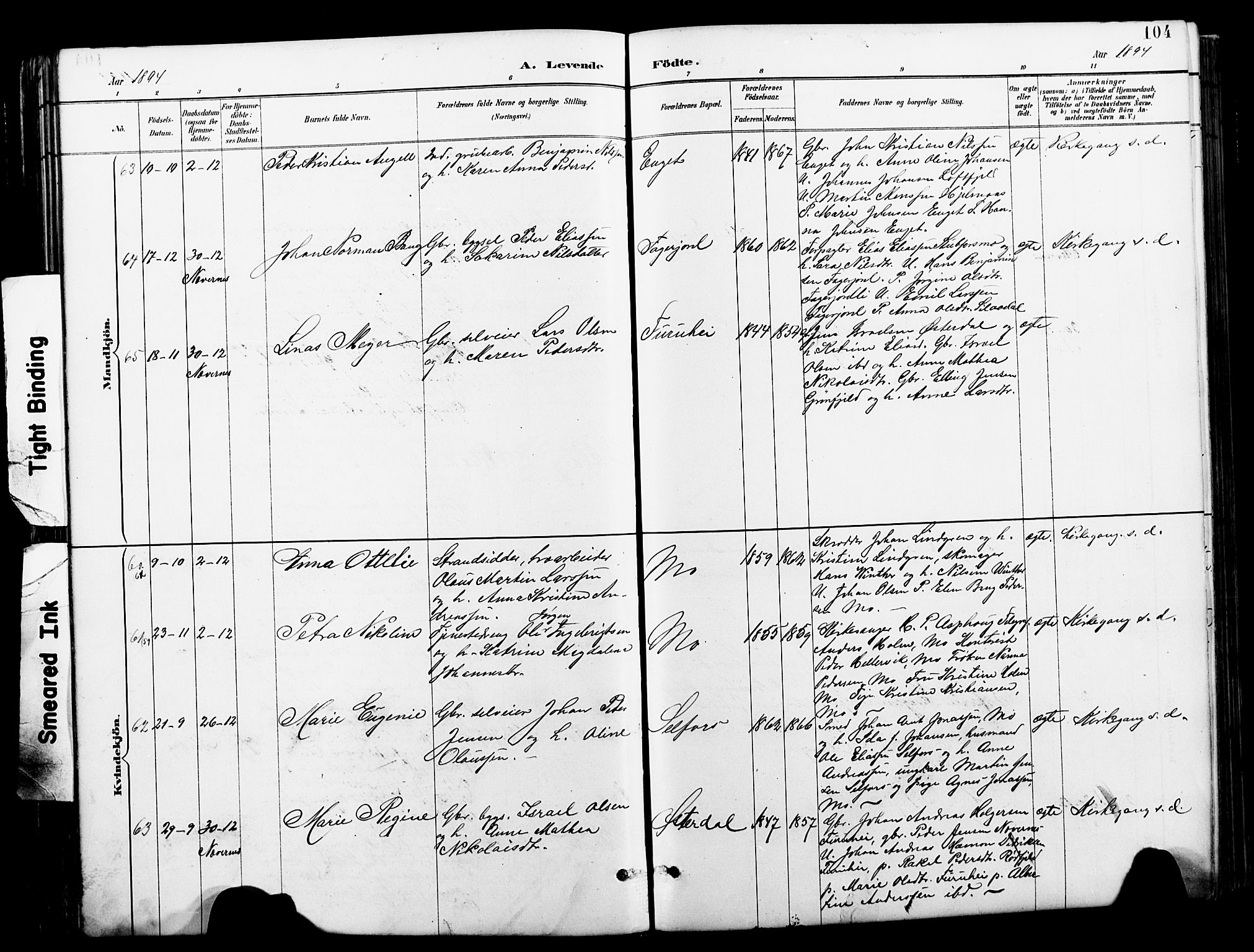 Ministerialprotokoller, klokkerbøker og fødselsregistre - Nordland, AV/SAT-A-1459/827/L0421: Parish register (copy) no. 827C10, 1887-1906, p. 104