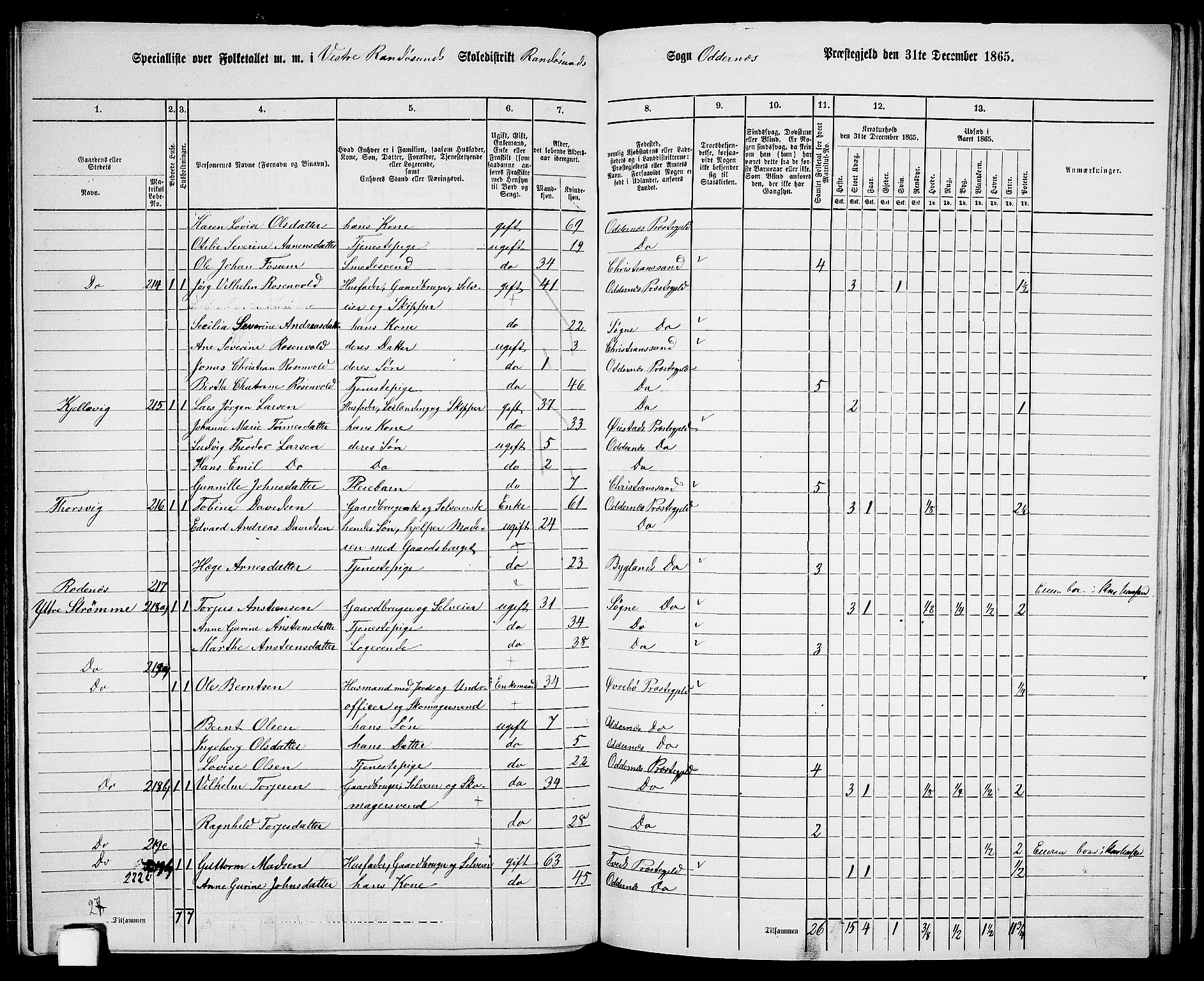 RA, 1865 census for Oddernes, 1865, p. 117