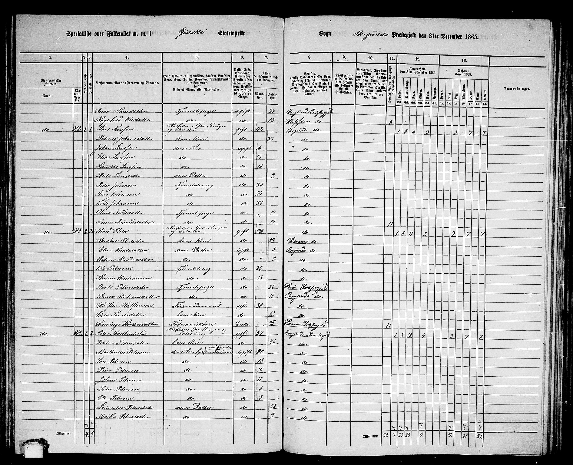 RA, 1865 census for Borgund, 1865, p. 137