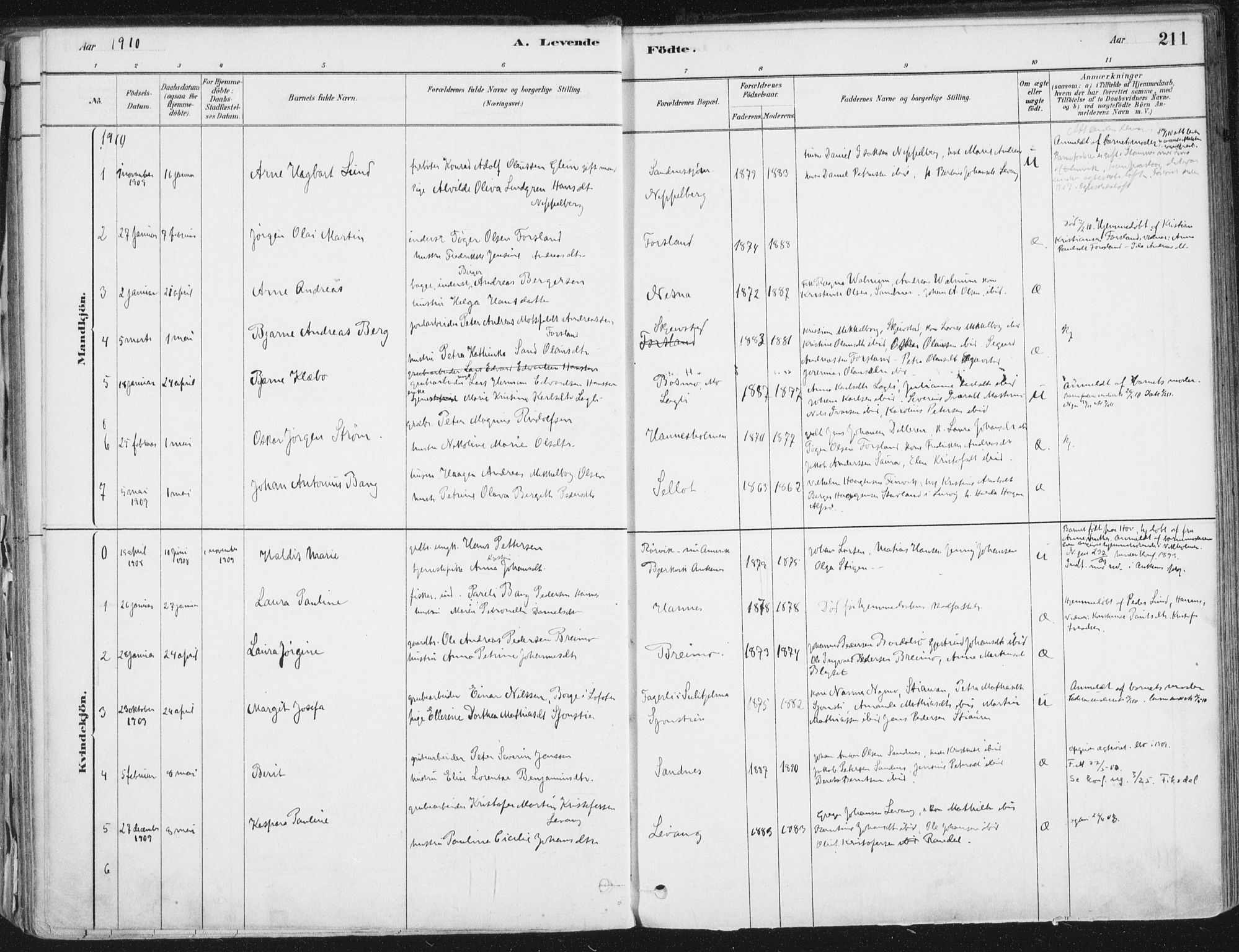 Ministerialprotokoller, klokkerbøker og fødselsregistre - Nordland, AV/SAT-A-1459/838/L0552: Parish register (official) no. 838A10, 1880-1910, p. 211